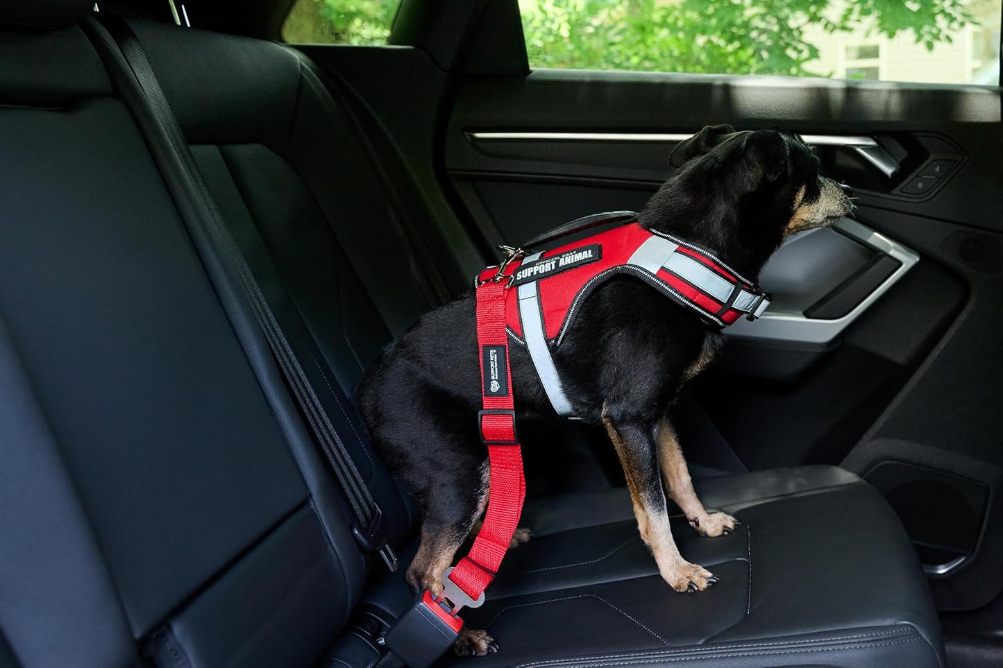 Dog Seat Belt for Car – Adjustable Dog Safety Seatbelt Harness for Dogs & Puppies – Vehicle Seatbelt Clip for Secure Pet Travel – Durable Dog Accessories & Travel Restraint – Red 1 Pack