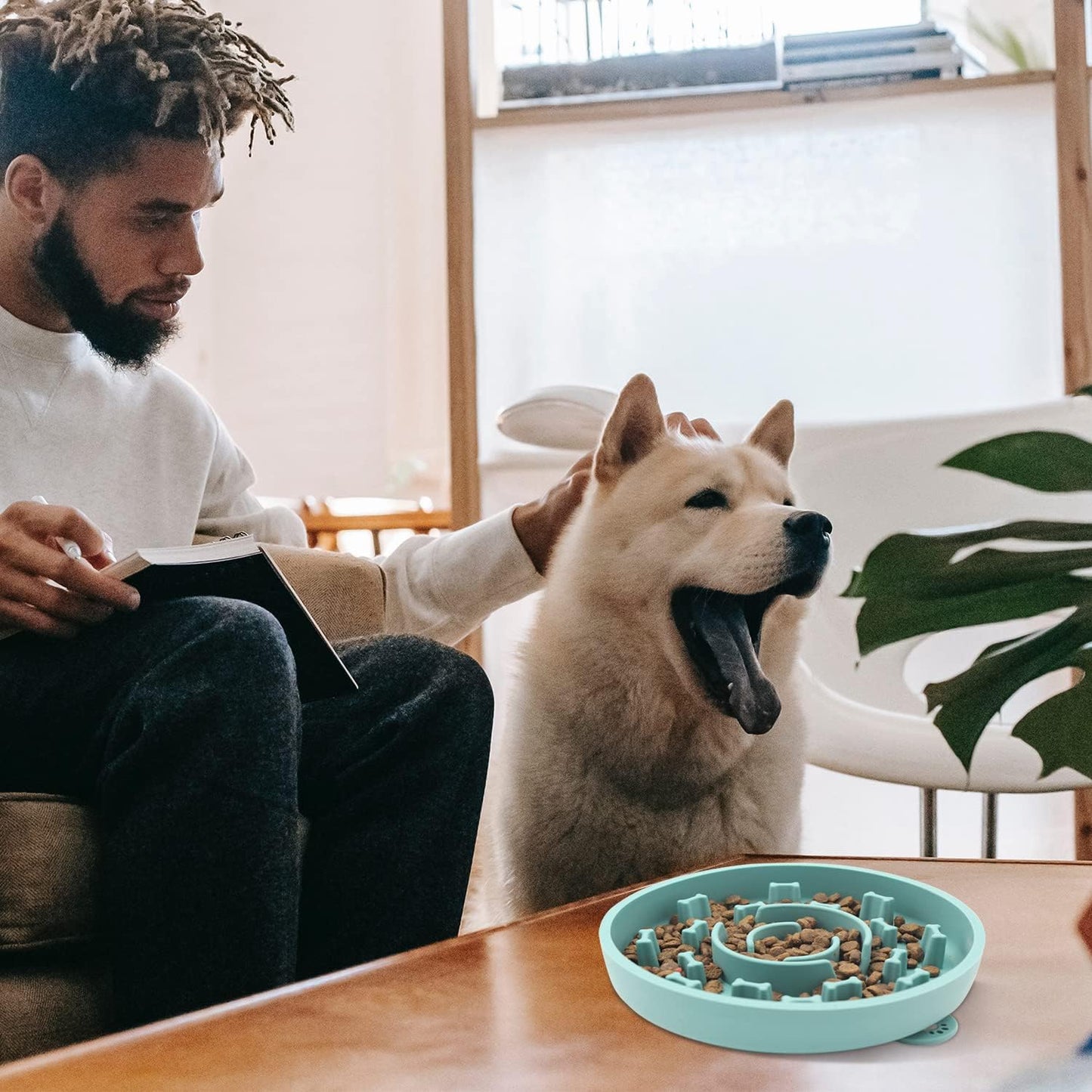 Slow Feeder Dog Bowls 2 Pack with Anti-Tipping Bottom Suction Cup,Silicone Dog Slow Feeder Bowl Prevents Gulping and Vomiting for Dogs & Cats, Slow Feeder Easy Cleaning