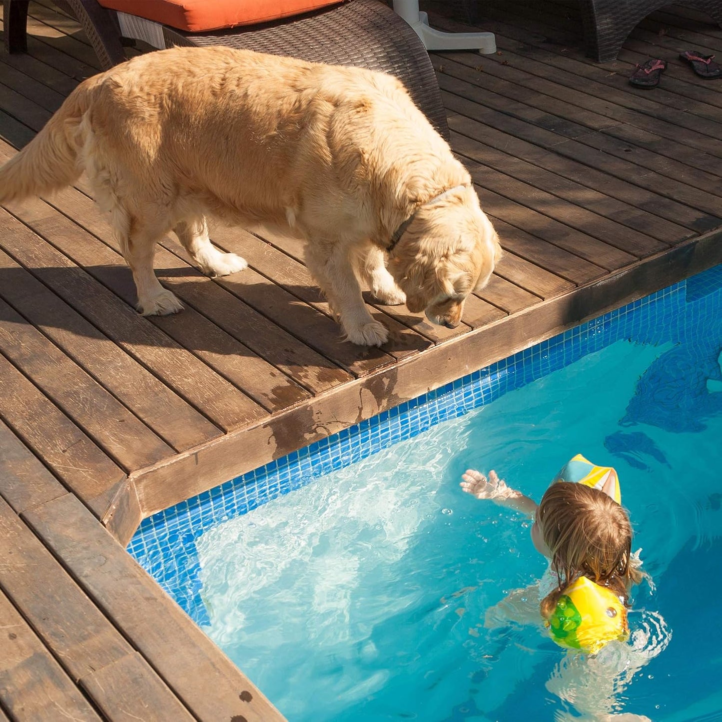 Waterproof Dog Bed - 2-Layer Memory Foam Pet Pad with Removable Machine Washable Cover - 30X21 Crate Mat for Dogs or Puppies by (Brown)