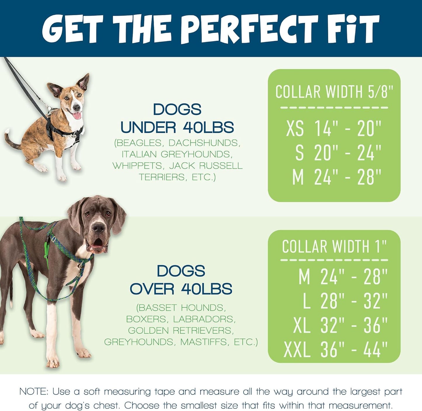 Freedom No Pull Dog Harness, Adjustable Harness and Leash Set, Easy Walking & Comfortable Control, Fits Small, Medium & Large Dogs, Solid Colors, Made in USA, 5/8" XS, Raspberry