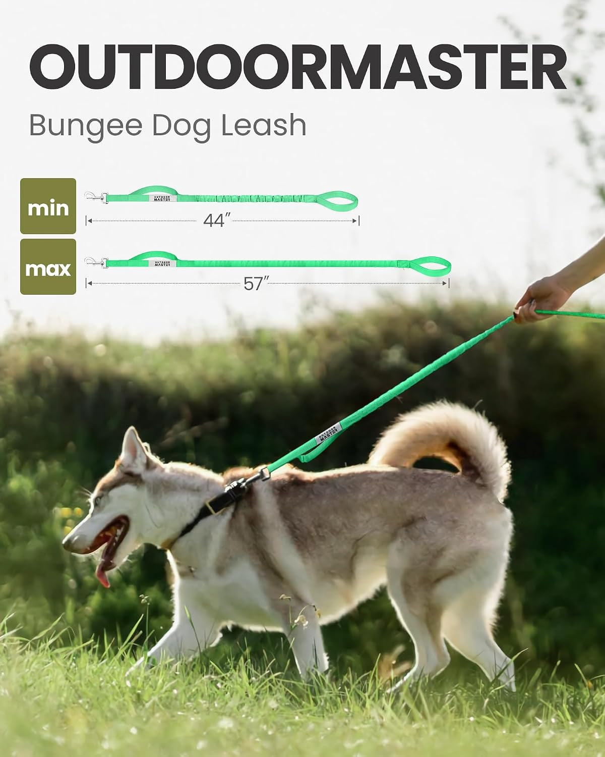 Bungee Dog Leash, Heavy Duty Dog Leash with Shock Absorption, 2 Padded Handles Training Leash, Improved Dog Safety and Comfort (Green, 4 FT)