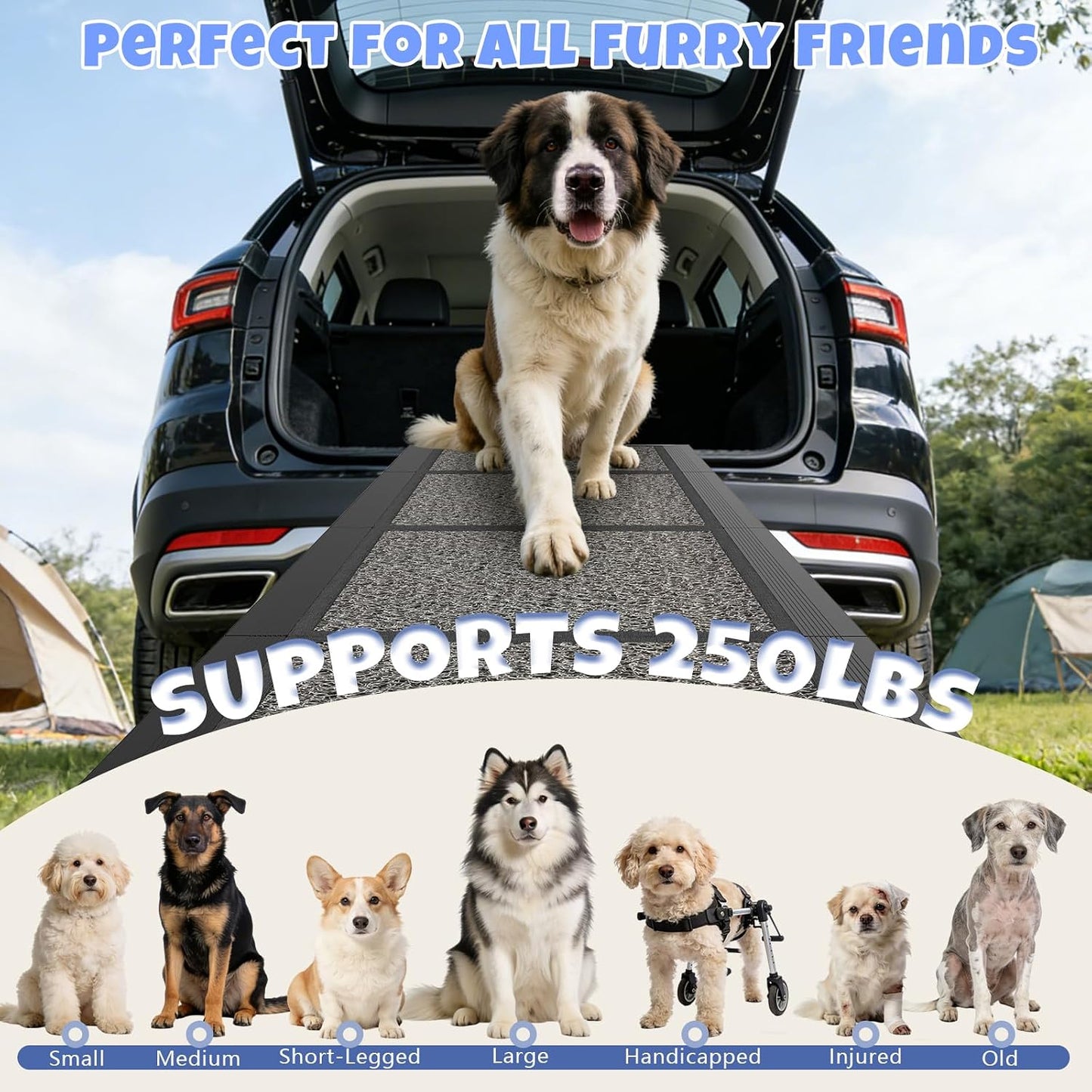 Dog Ramp for Car 63" X 17", Folding Pet Ramp for Large Dogs with Non-Slip Rug Surface, Portable Dog Car Ramp for SUV Car & Truck