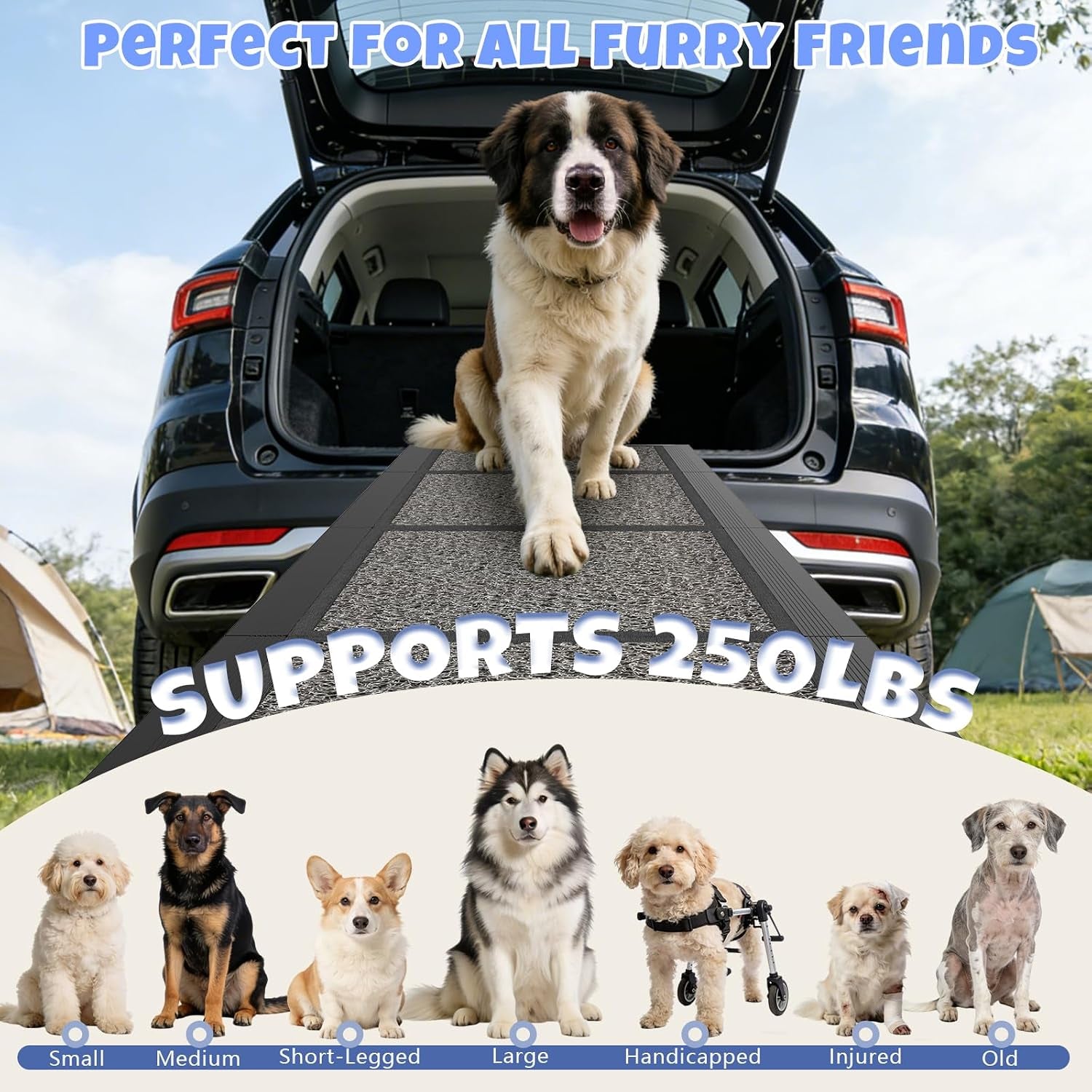 Dog Ramp for Car 63" X 17", Folding Pet Ramp for Large Dogs with Non-Slip Rug Surface, Portable Dog Car Ramp for SUV Car & Truck