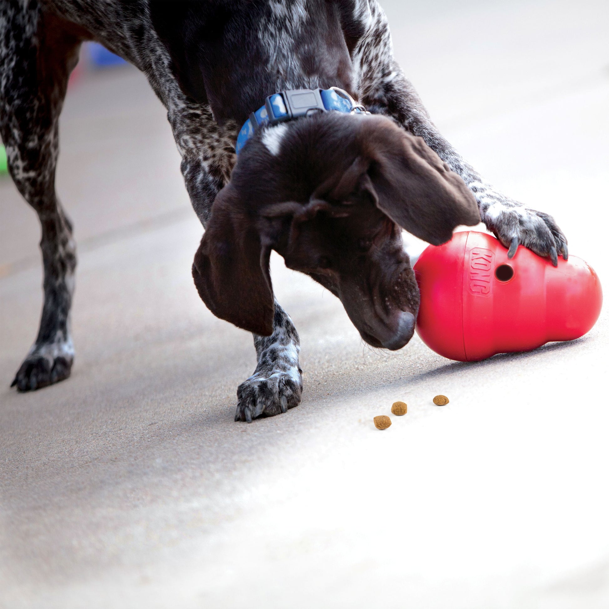 ® Wobbler Food-Dispensing Dog Toy, Red, Large for Dogs between 30-65 Lbs