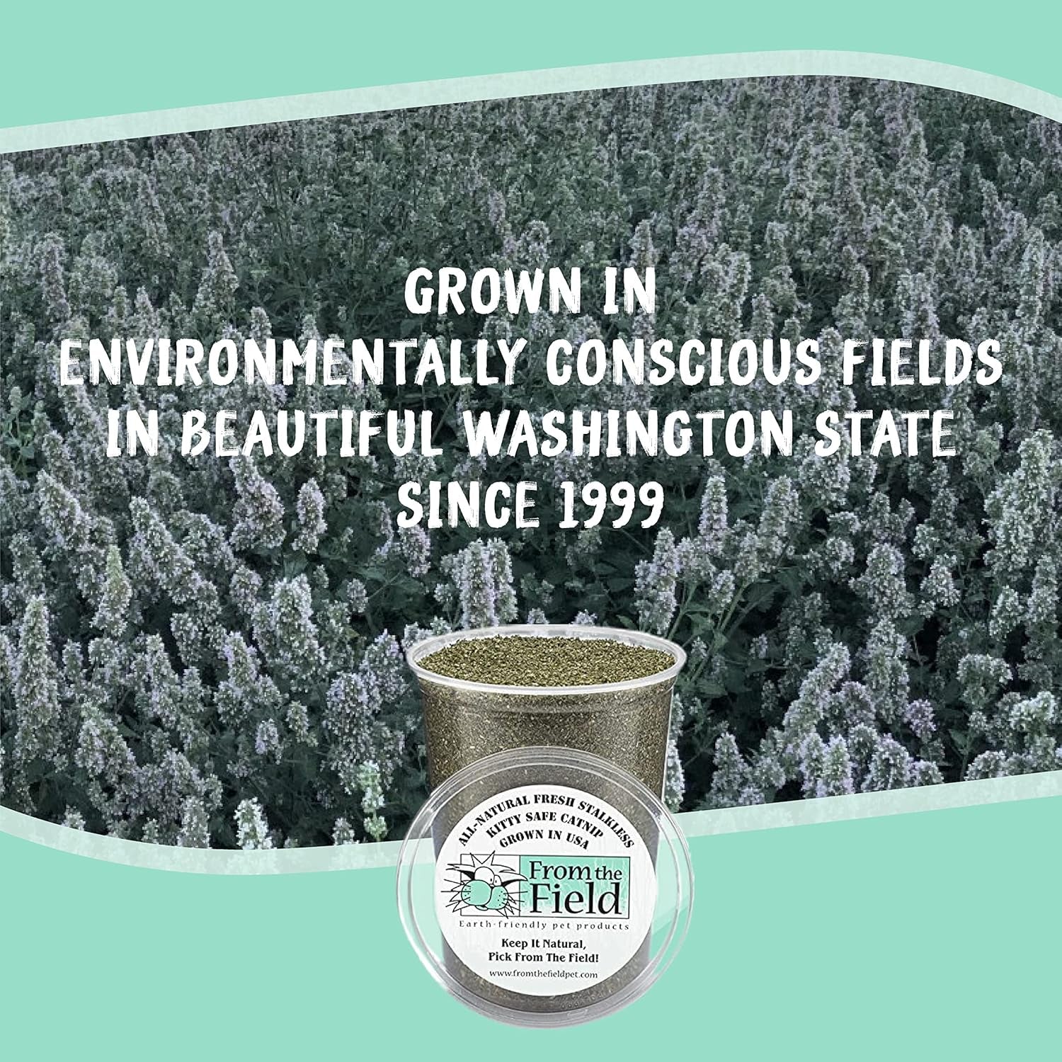 | Fine Ground Stalkless Catnip | Premium Usa-Grown Catnip for Toys & Playtime | Fresh, Potent, Non-Toxic, Eco-Friendly | Safe for Kittens & Cats | Resealable 6 Oz Tub