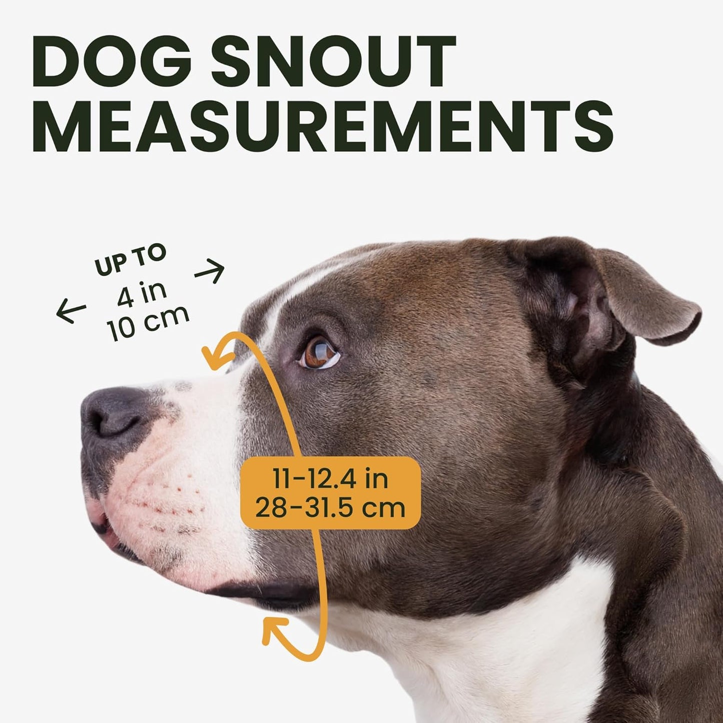 Pitbull Dog Muzzle Breathable Metal Basket for Large Dogs Amstaff Staffordshire Terrier Biting Chewing Barking (Leather, Black)