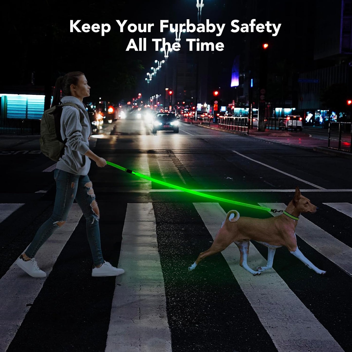 Light up Dog Leash, LED Pet Leashes USB Rechargeable, Glow Safety Dogs Lights at Night (4Ft,Green-New)