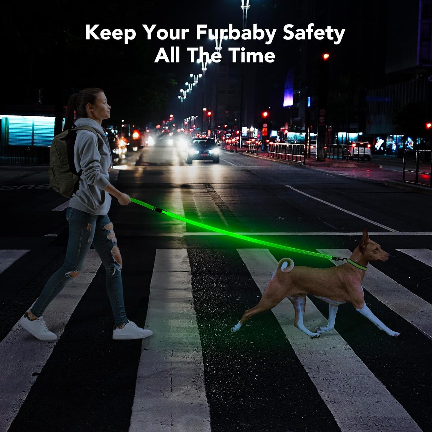 Light up Dog Leash, LED Pet Leashes USB Rechargeable, Glow Safety Dogs Lights at Night (4Ft,Green-New)