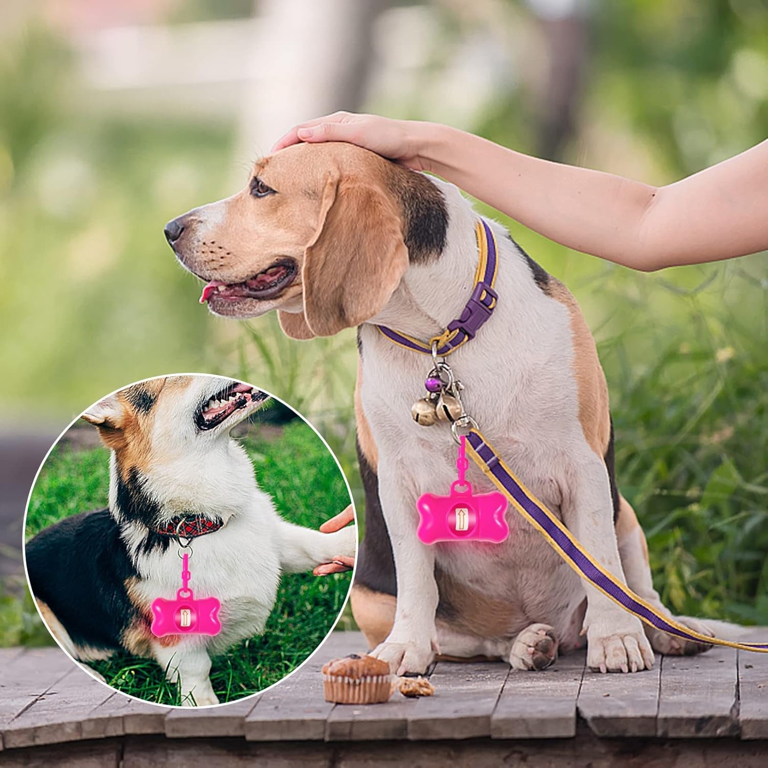 80 Pack Bone Shaped Poop Bag Dispenser Pet Waste Disposal Bag Dispenser (Random Color)