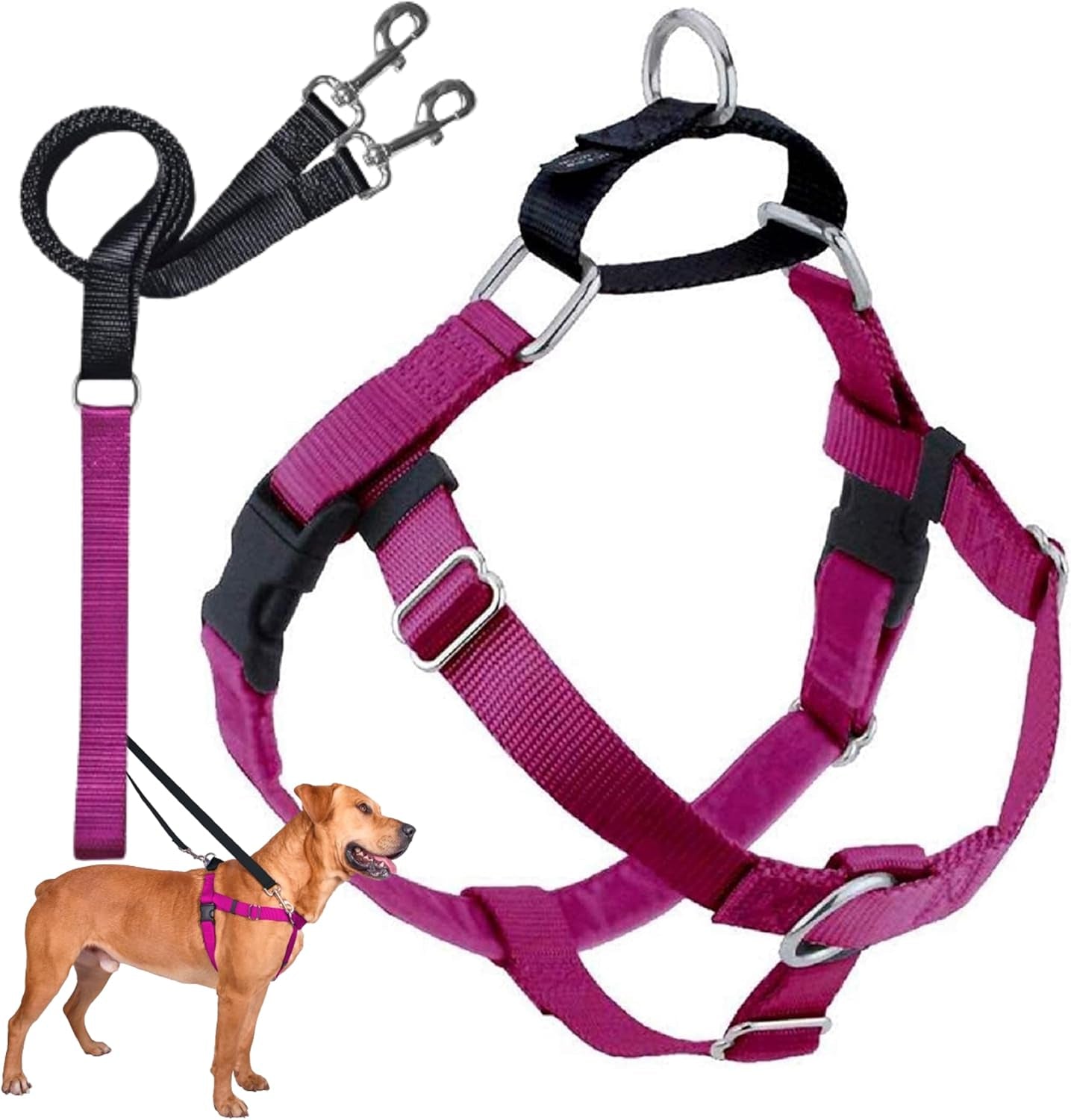 Freedom No Pull Dog Harness, Adjustable Harness and Leash Set, Easy Walking & Comfortable Control, Fits Small, Medium & Large Dogs, Solid Colors, Made in USA, 5/8" XS, Raspberry