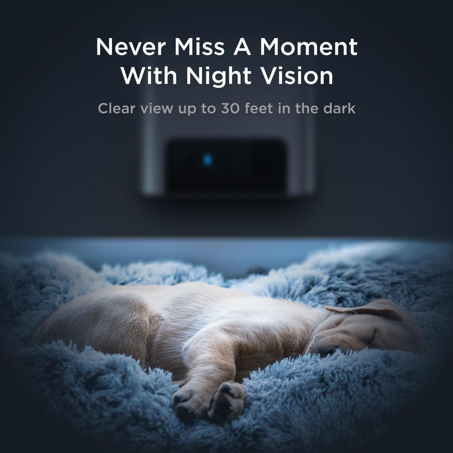 Bites 2 Lite Wifi Pet Camera with Treat Dispenser, 1080P HD Video, Two-Way Audio, Night Vision, Motion & Sound Alerts, Dog & Cat Monitor with App