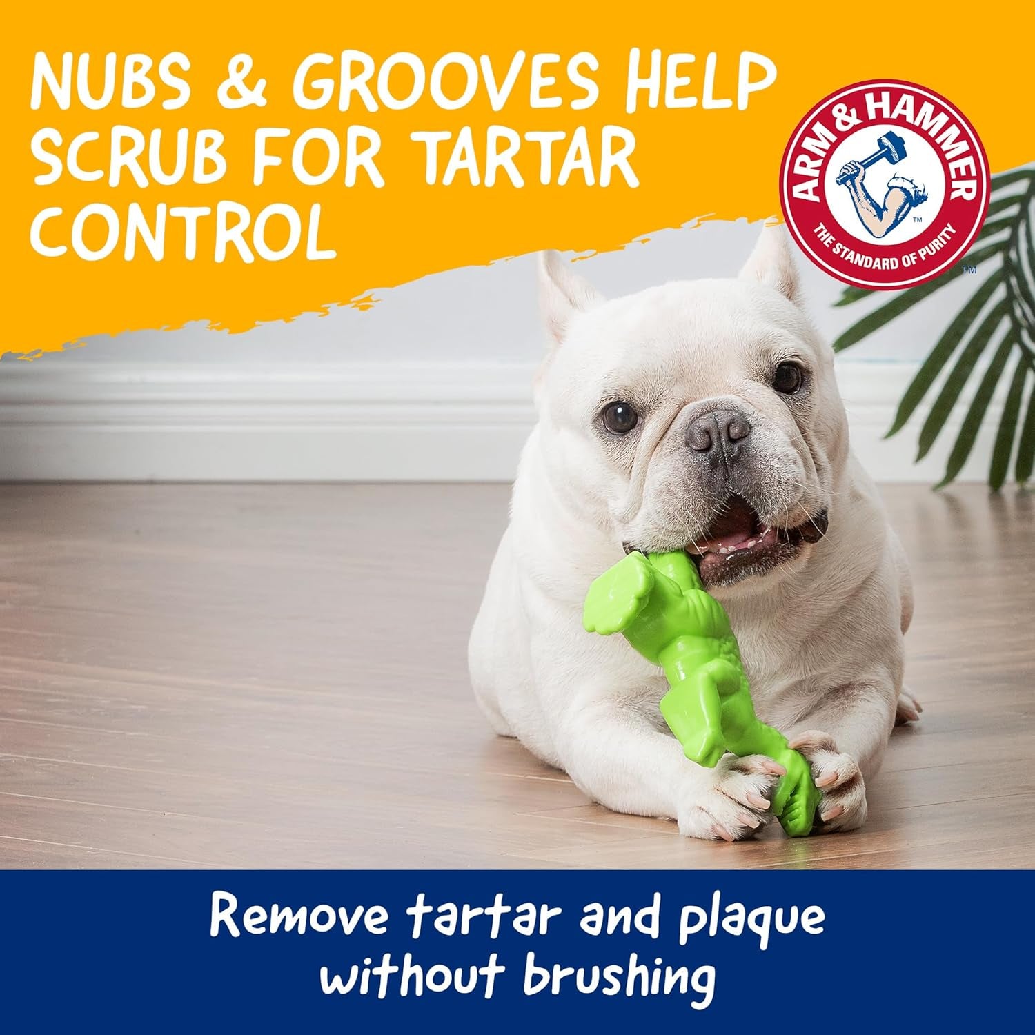 Nubbies Denta-Saurus T-Rex Dog Dental Chew Toy, Mint Flavor, for Moderate Chewers, Nylon, Reduces Plaque and Tartar without Brushing, Baking Soda Infused - 24 Pack
