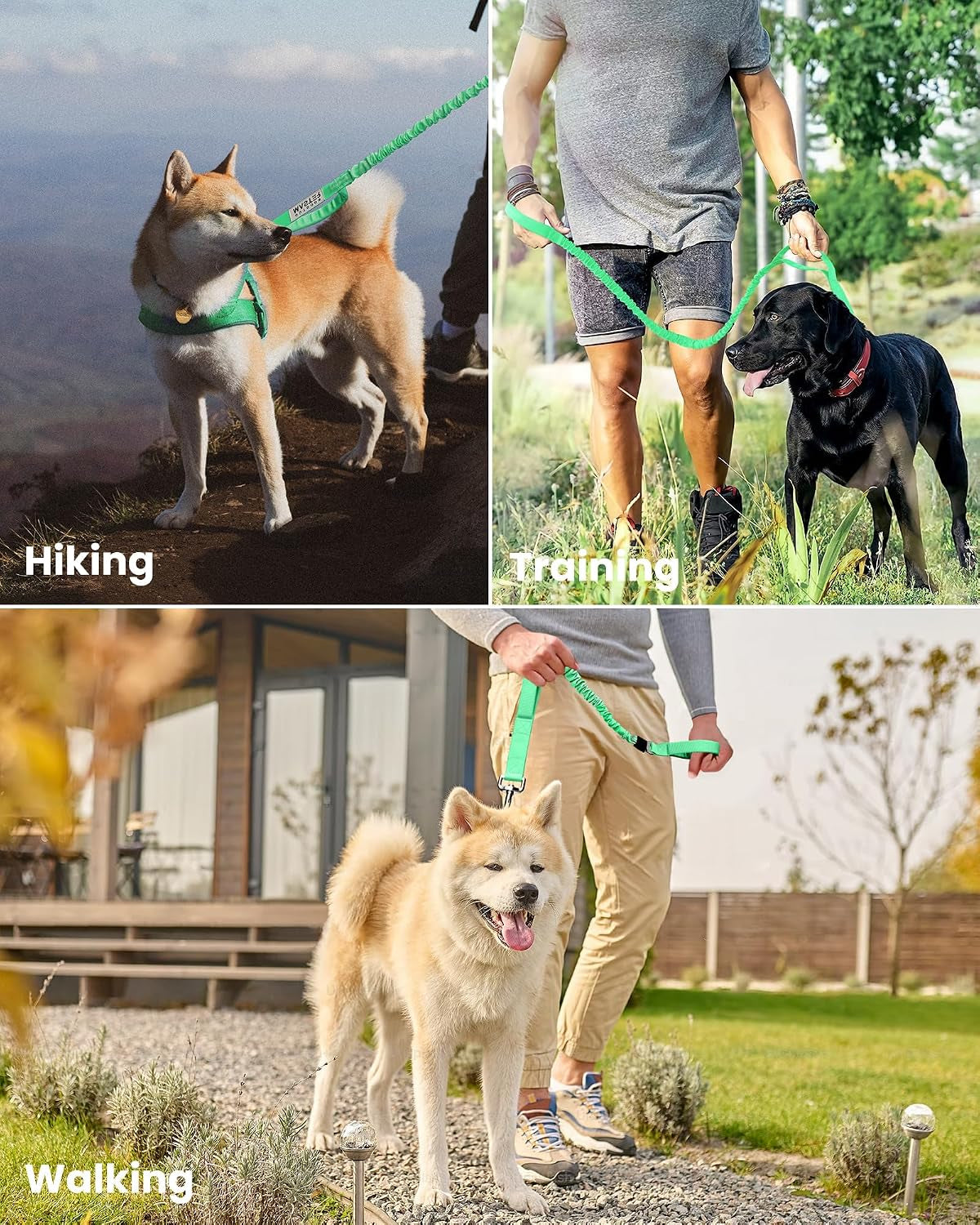 Bungee Dog Leash, Heavy Duty Dog Leash with Shock Absorption, 2 Padded Handles Training Leash, Improved Dog Safety and Comfort (Green, 4 FT)