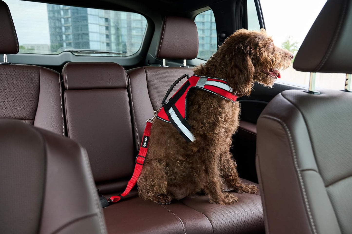 Dog Seat Belt for Car – Adjustable Dog Safety Seatbelt Harness for Dogs & Puppies – Vehicle Seatbelt Clip for Secure Pet Travel – Durable Dog Accessories & Travel Restraint – Red 1 Pack