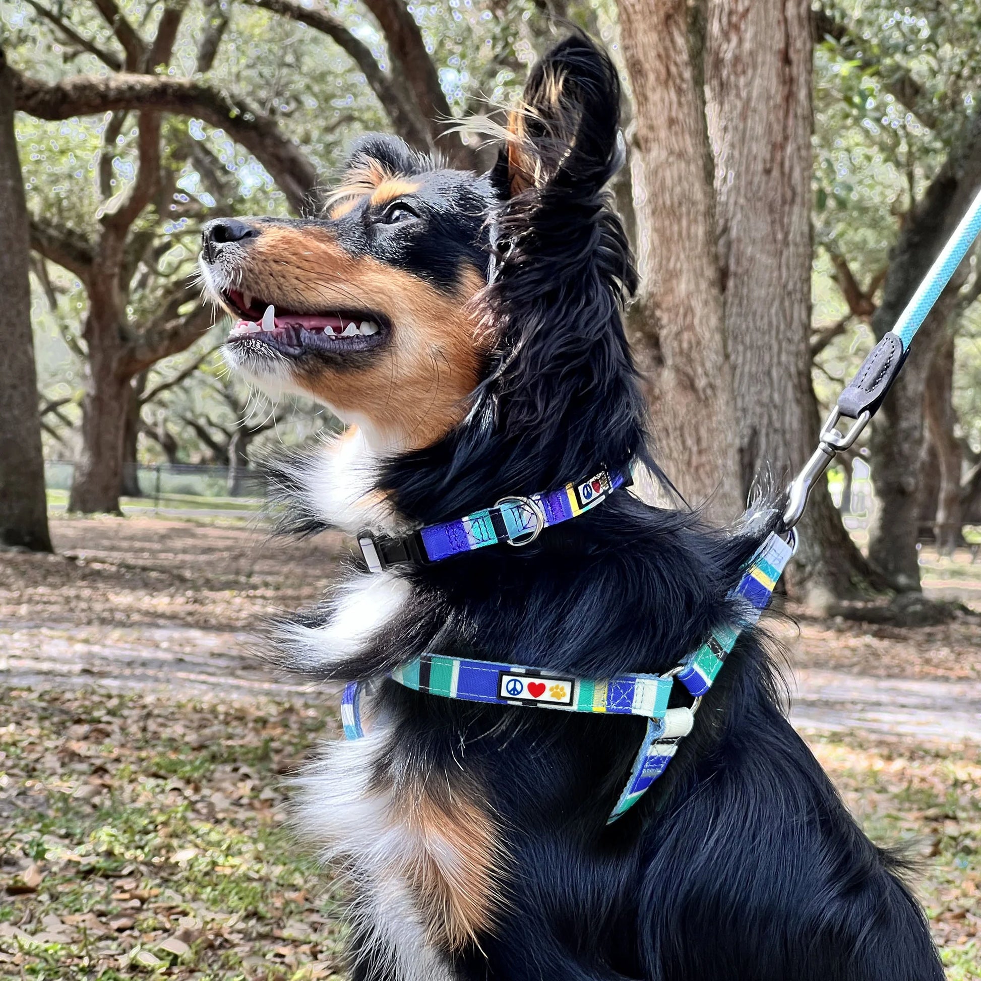 Reflective Dog Harness Recycled - Black - (M) Medium Step in Dog Harness Training & Walking