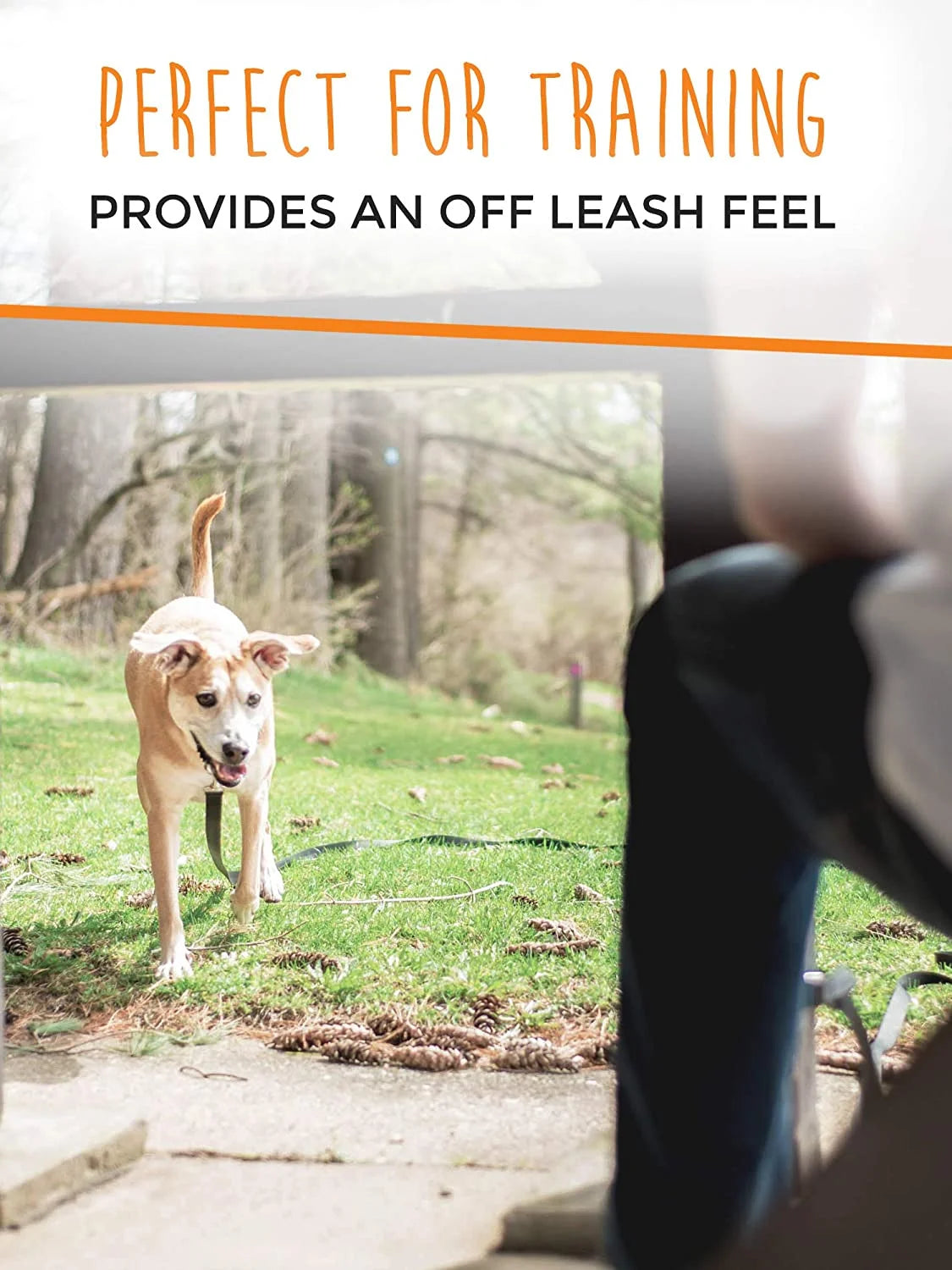 Long Dog Leash, Pet Leash, for off Leash Recall Training Quality Nylon Tie Out Includes a Buckled Padded Handle for Yard Camping and Training, Puppy Leash, 15Ft
