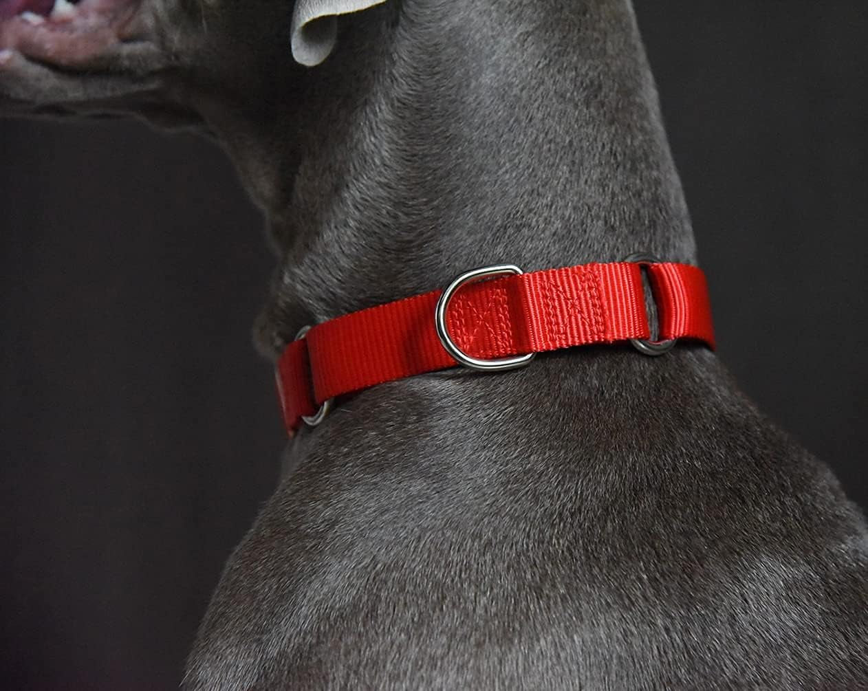 Martingale Dog Collar, Heavyduty Nylon Dog Collar, Red, Large