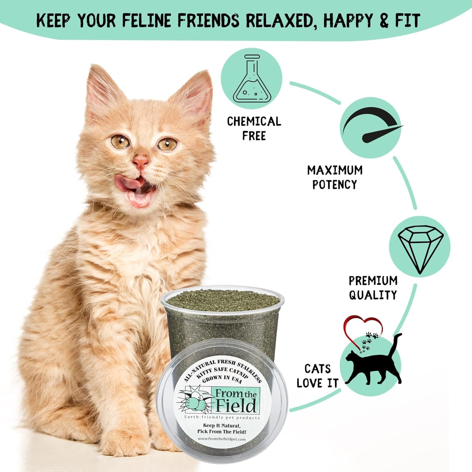 | Fine Ground Stalkless Catnip | Premium Usa-Grown Catnip for Toys & Playtime | Fresh, Potent, Non-Toxic, Eco-Friendly | Safe for Kittens & Cats | Resealable 6 Oz Tub