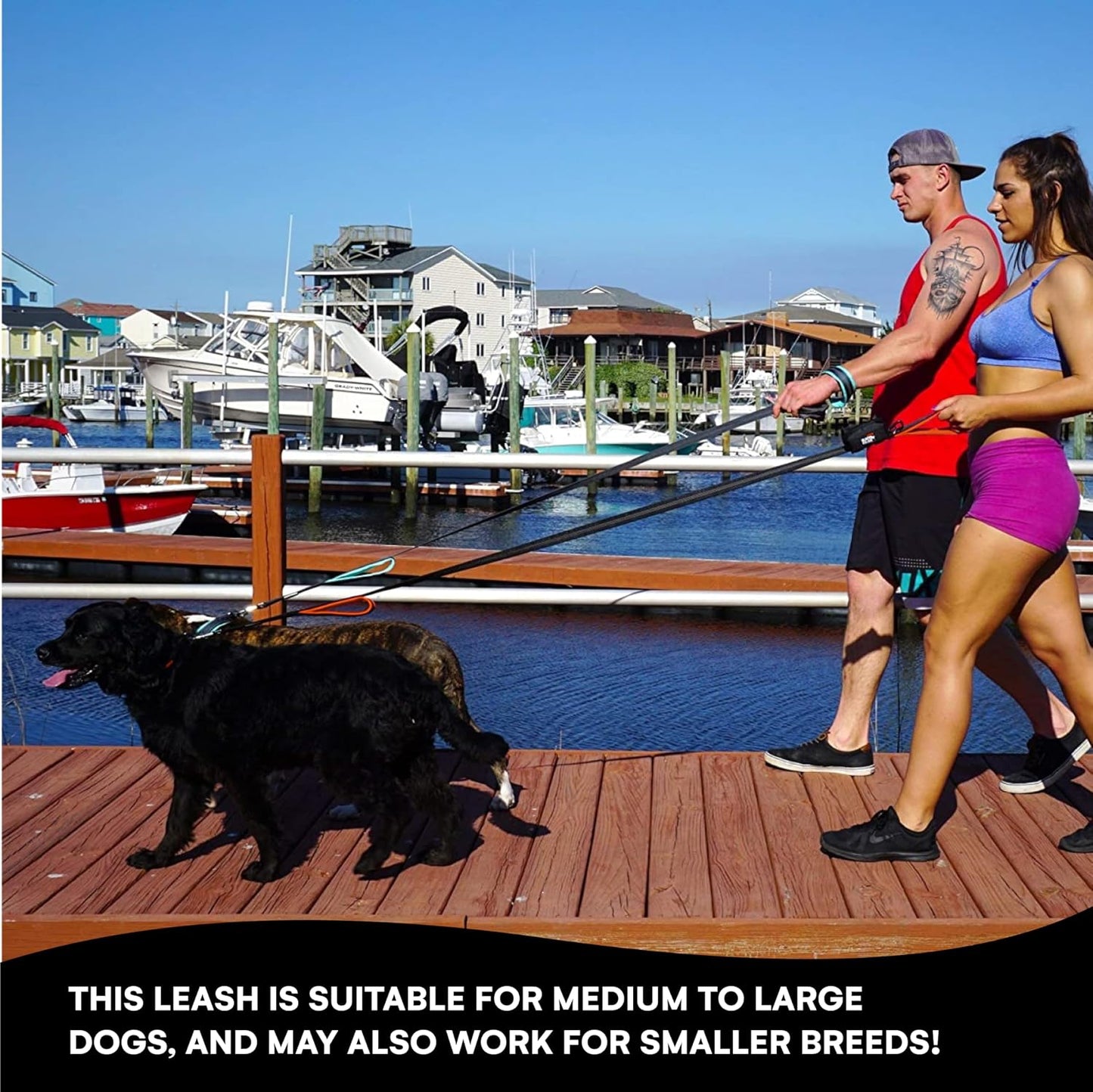 Heavy Duty Dog Leash for Medium and Large Dogs - 6 Ft Long Double Handle Leash with Padded Traffic Control Handles and Bag - Reflective, Durable, and Weather Resistant (Orange)