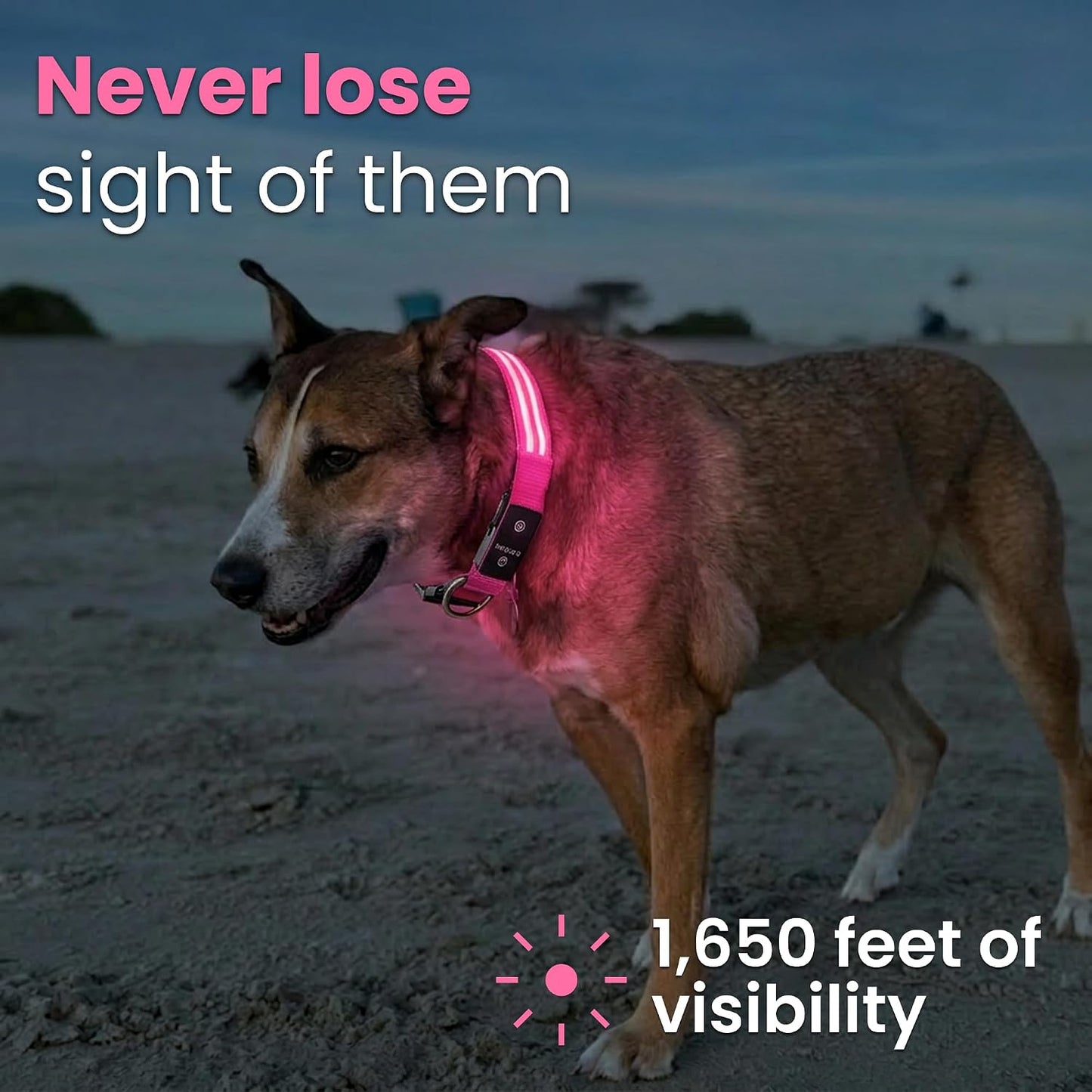 LED Light up Dog Collar USB Rechargeable Waterproof (Pink)