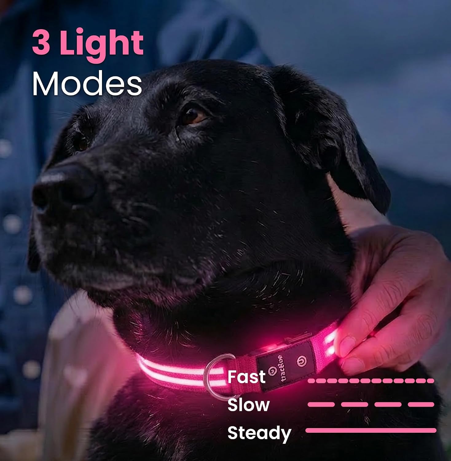 LED Light up Dog Collar USB Rechargeable Waterproof (Pink)