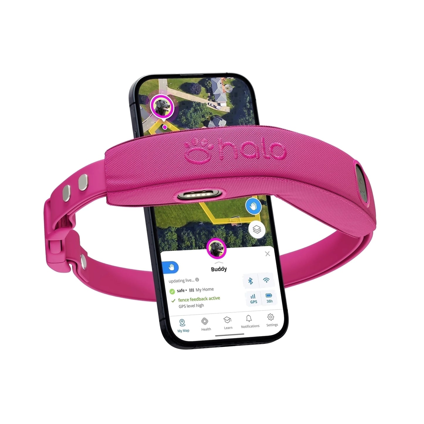 Collar 4 Wireless Dog Fence System & GPS Dog Collar, One Size, Orchid
