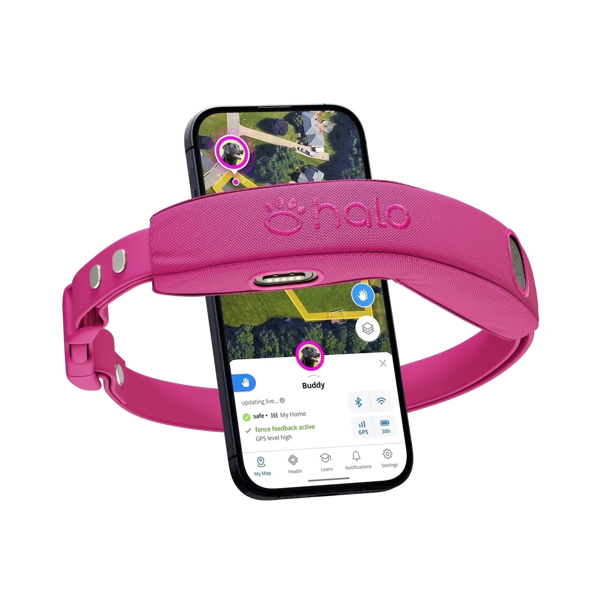 Collar 4 Wireless Dog Fence System & GPS Dog Collar, One Size, Orchid
