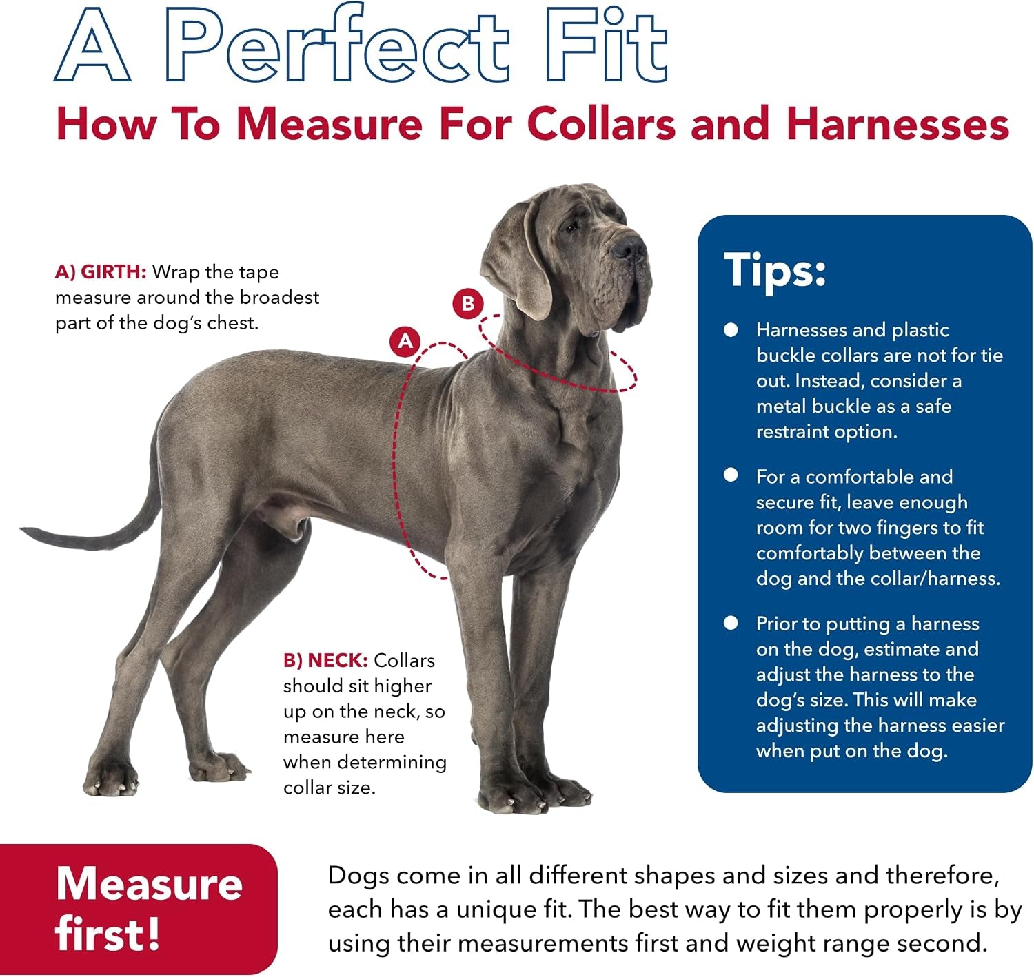 Pet K9 Explorer Reflective Adjustable Dog Collar - Comfortable Collar for the Outdoors - Durable, Lightweight Accessory with Side-Release Buckle - Fern, 5/8" X 10-14"