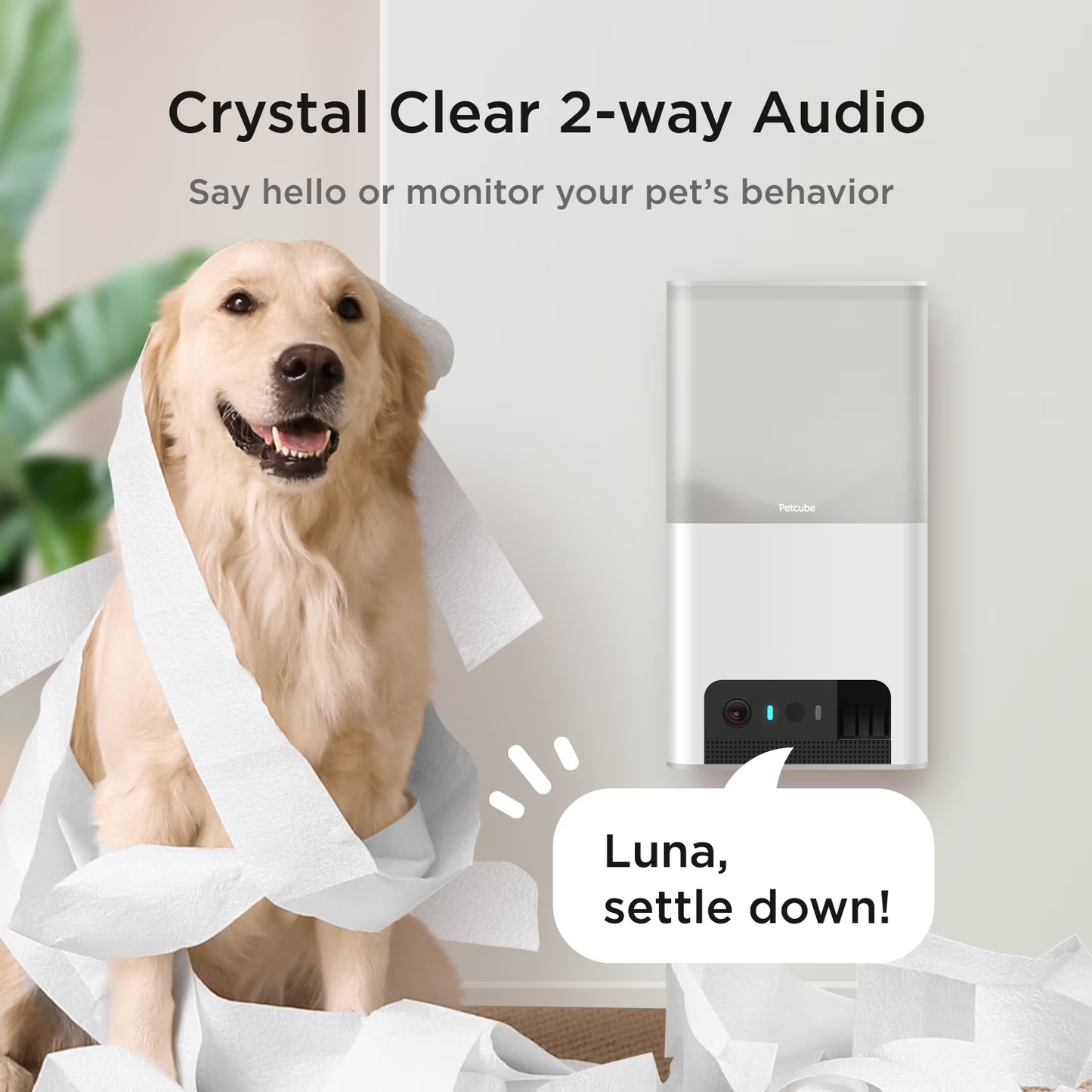Bites 2 Lite Wifi Pet Camera with Treat Dispenser, 1080P HD Video, Two-Way Audio, Night Vision, Motion & Sound Alerts, Dog & Cat Monitor with App