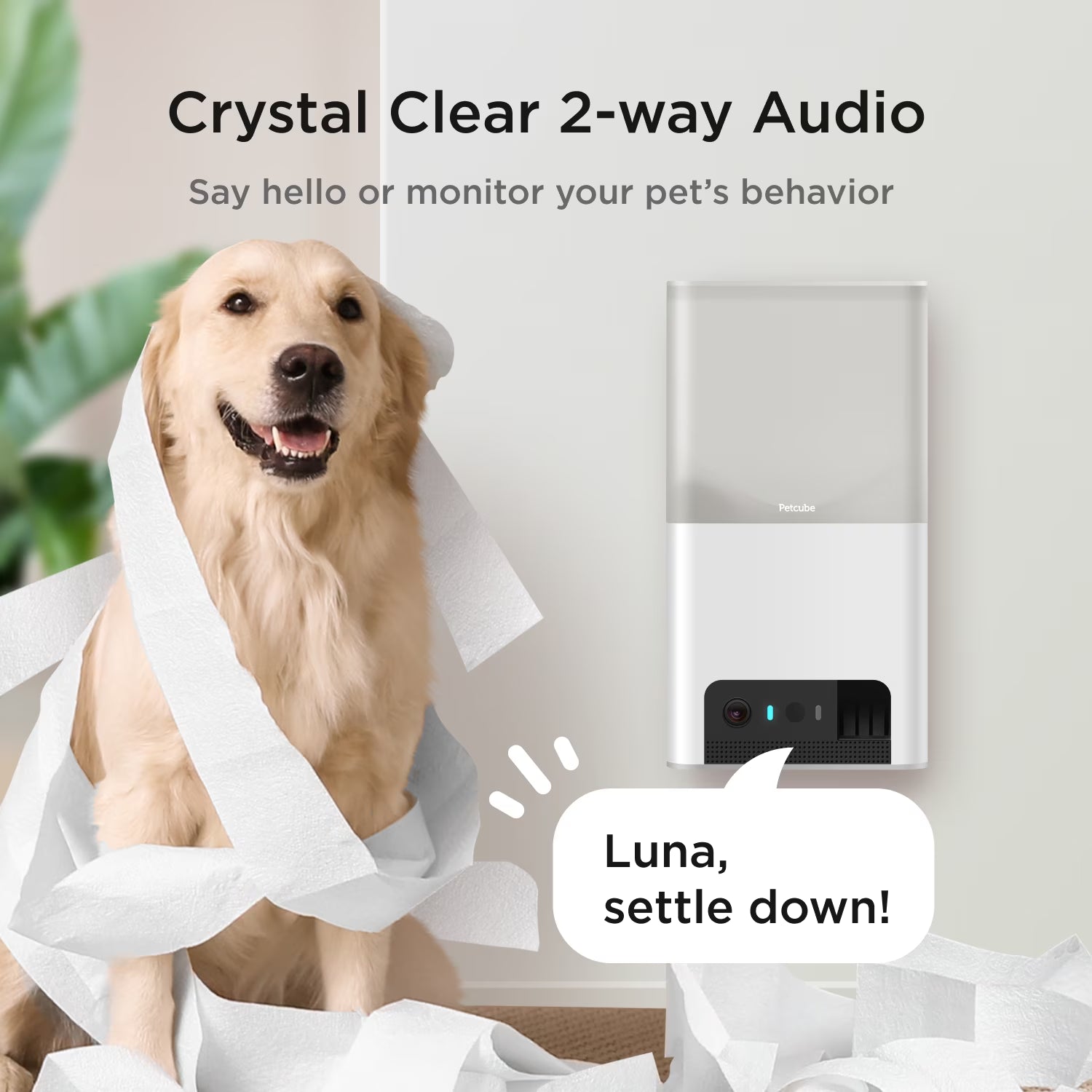 Bites 2 Lite Wifi Pet Camera with Treat Dispenser, 1080P HD Video, Two-Way Audio, Night Vision, Motion & Sound Alerts, Dog & Cat Monitor with App