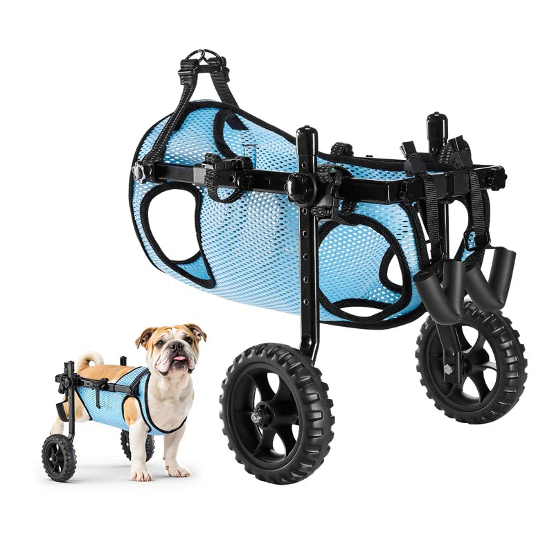 Dog Wheelchair for Back Legs, Adjustable 2 Wheels Pet Wheelchair, Lightweight Dog Cart with Shock-Absorbing Wheels, Mobility Support Wheel Chair for Disabled Injured Dogs up to 22Lbs, Small