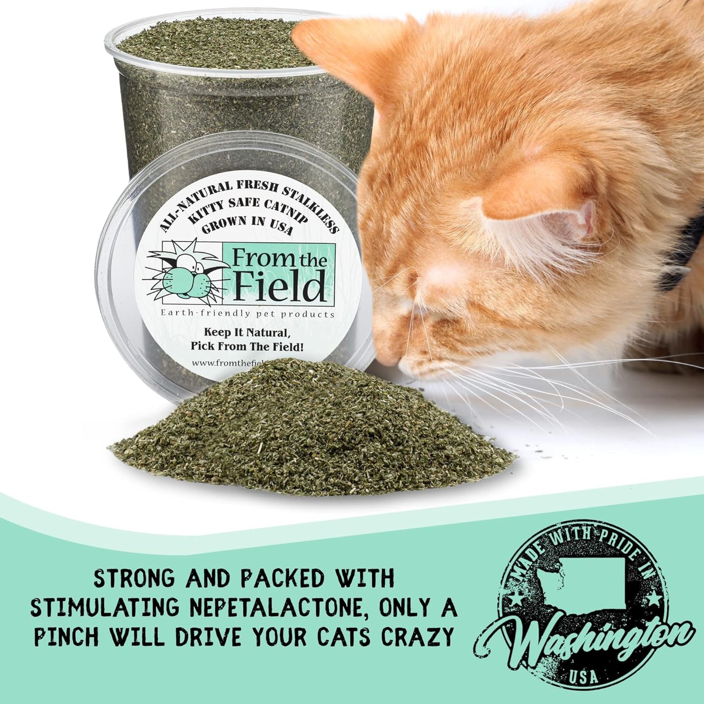 | Fine Ground Stalkless Catnip | Premium Usa-Grown Catnip for Toys & Playtime | Fresh, Potent, Non-Toxic, Eco-Friendly | Safe for Kittens & Cats | Resealable 6 Oz Tub