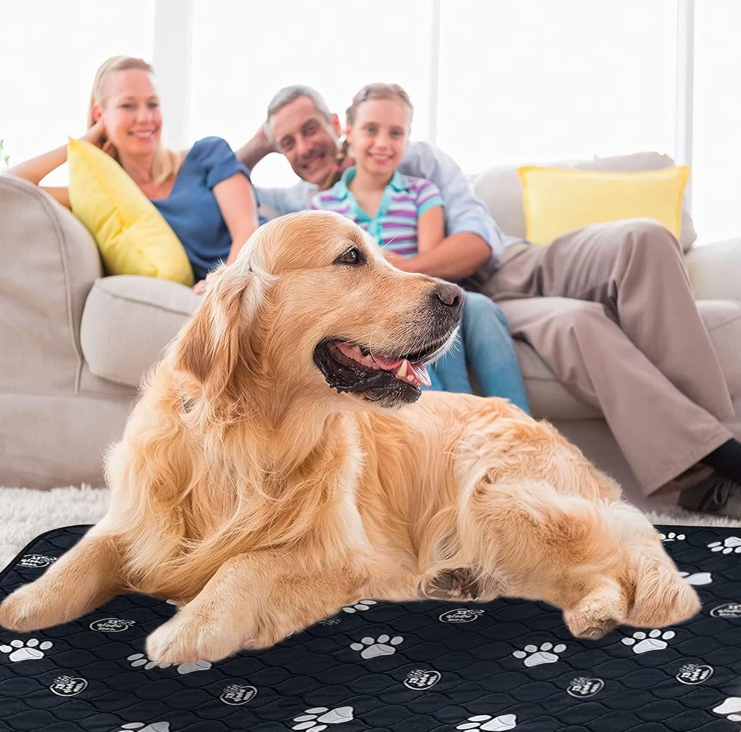 Reusable Dog Pee Pads, Washable Waterproof Mats for Dog Potty Training or Whelping Pads, 39X39 Inch, 2 Pack