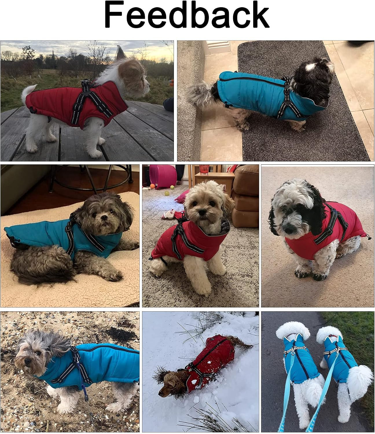 Winter Warm Coat Waterproof Dog Winter Jacket with Harness Traction Belt,Pet Outdoor Jacket Dog Autumn and Winter Clothes for Medium, Small Dog-Blue-Xxl