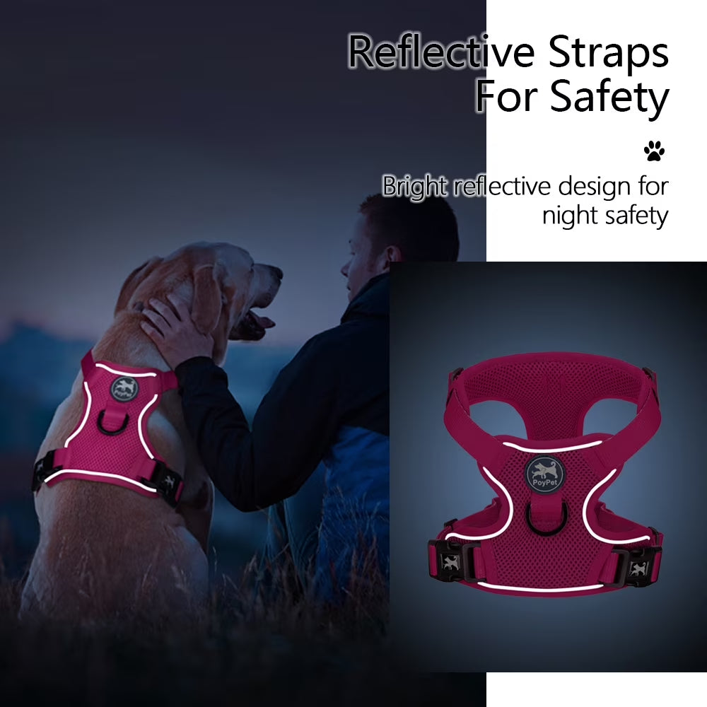 Dog Harness Adjustable Soft Breathable Mesh Pet Harness No Pull Choke-Free Double Padded Vest for Small Medium and Large Dogs,Fuchsia XL