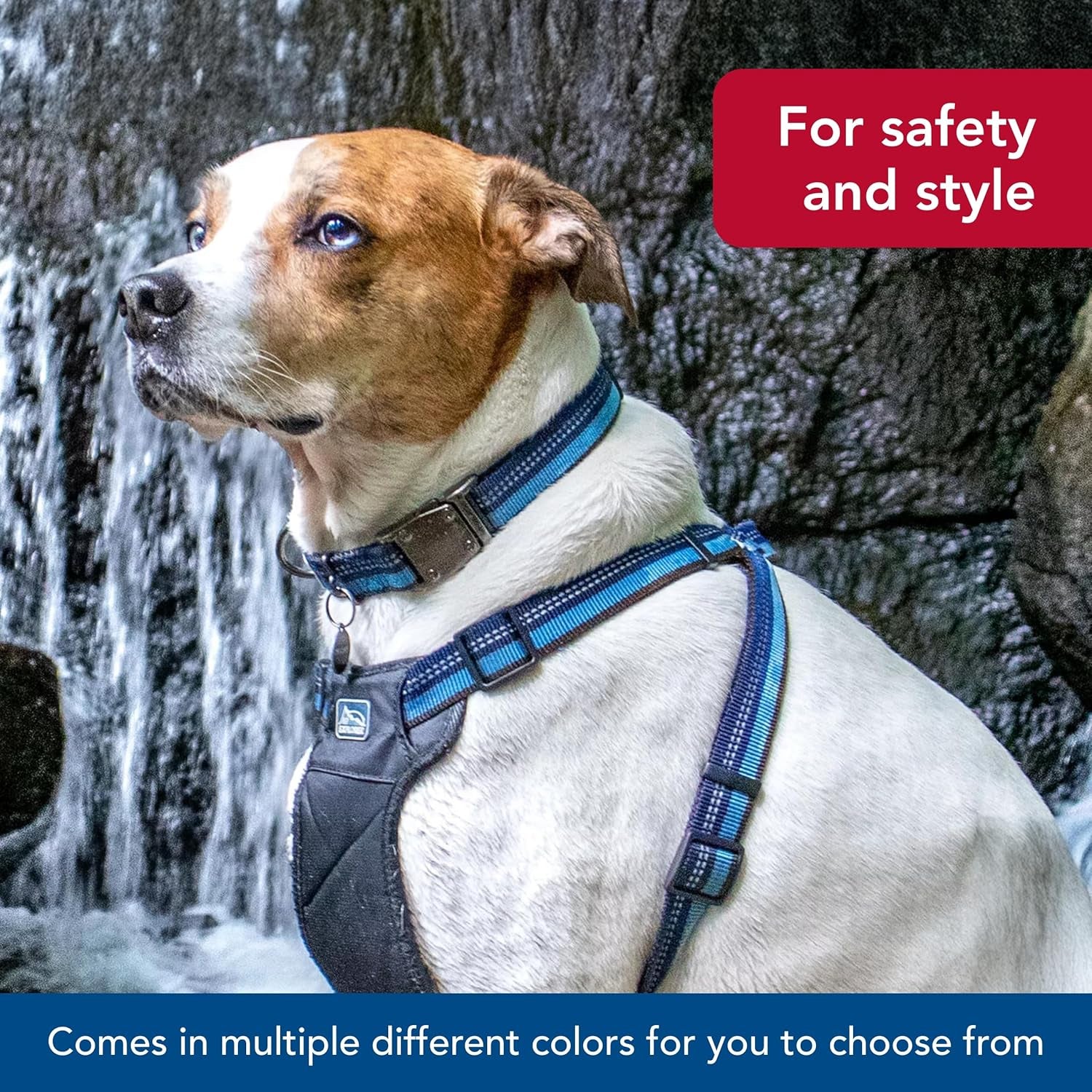 Pet K9 Explorer Reflective Adjustable Dog Collar - Comfortable Collar for the Outdoors - Durable, Lightweight Accessory with Side-Release Buckle - Fern, 5/8" X 10-14"