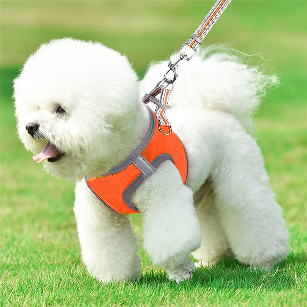Puppy Harness, Adjustable Leash and Collar Set, Step-In Dog Harness, 3M Reflective Pet Dog Vest for Small Medium Puppy (M:Neck 12.6-13.4"|Chest 17.3-18.9", Orange)