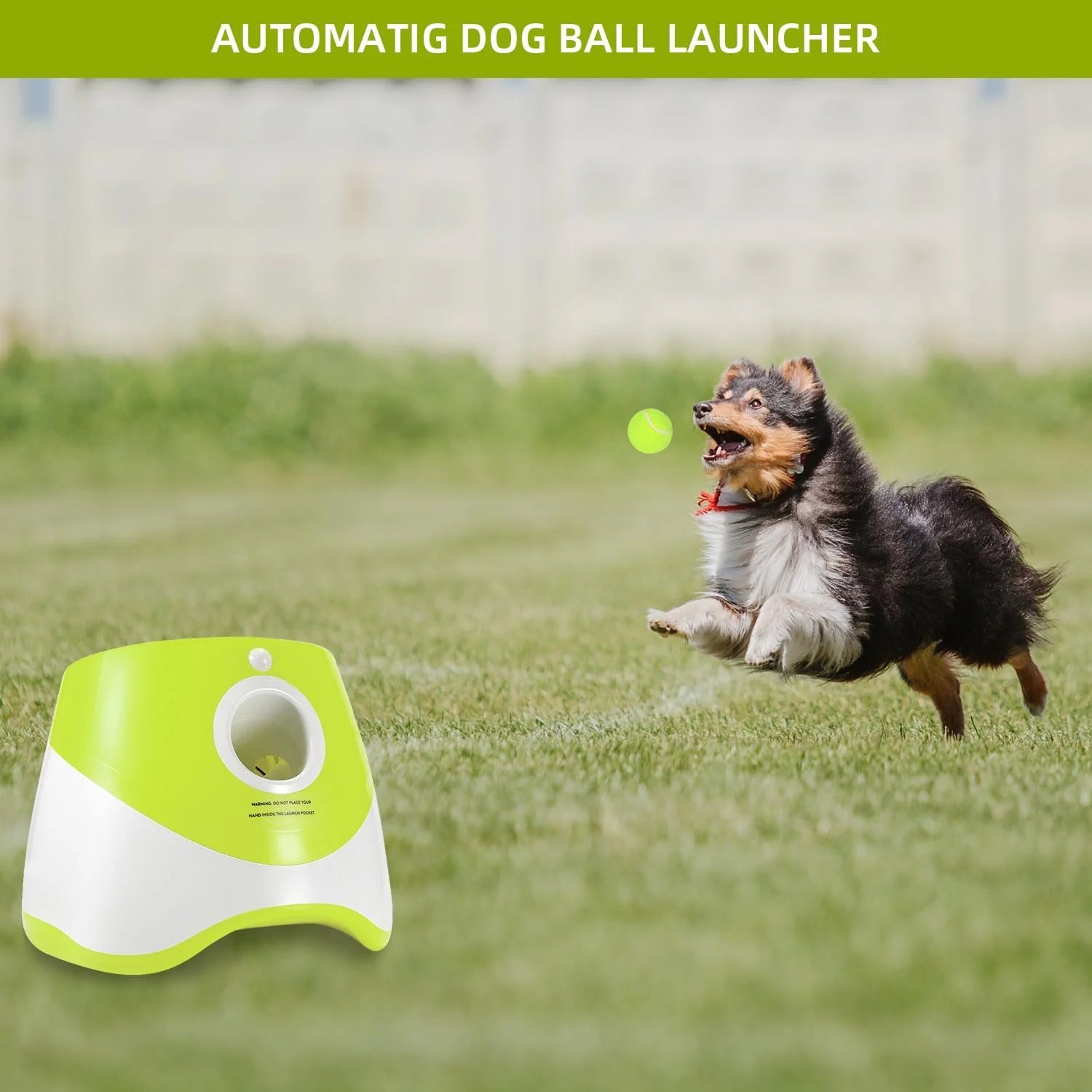 Ball Thrower for Dogs,Interactive Dog Fetch Machine,Automatic Ball Launcher for Dogs with 12 Tennis Balls,Dog Ball Thrower Machine with 10-30Ft 3 Launching Distance,For Small Dogs Indoor & Outdoor