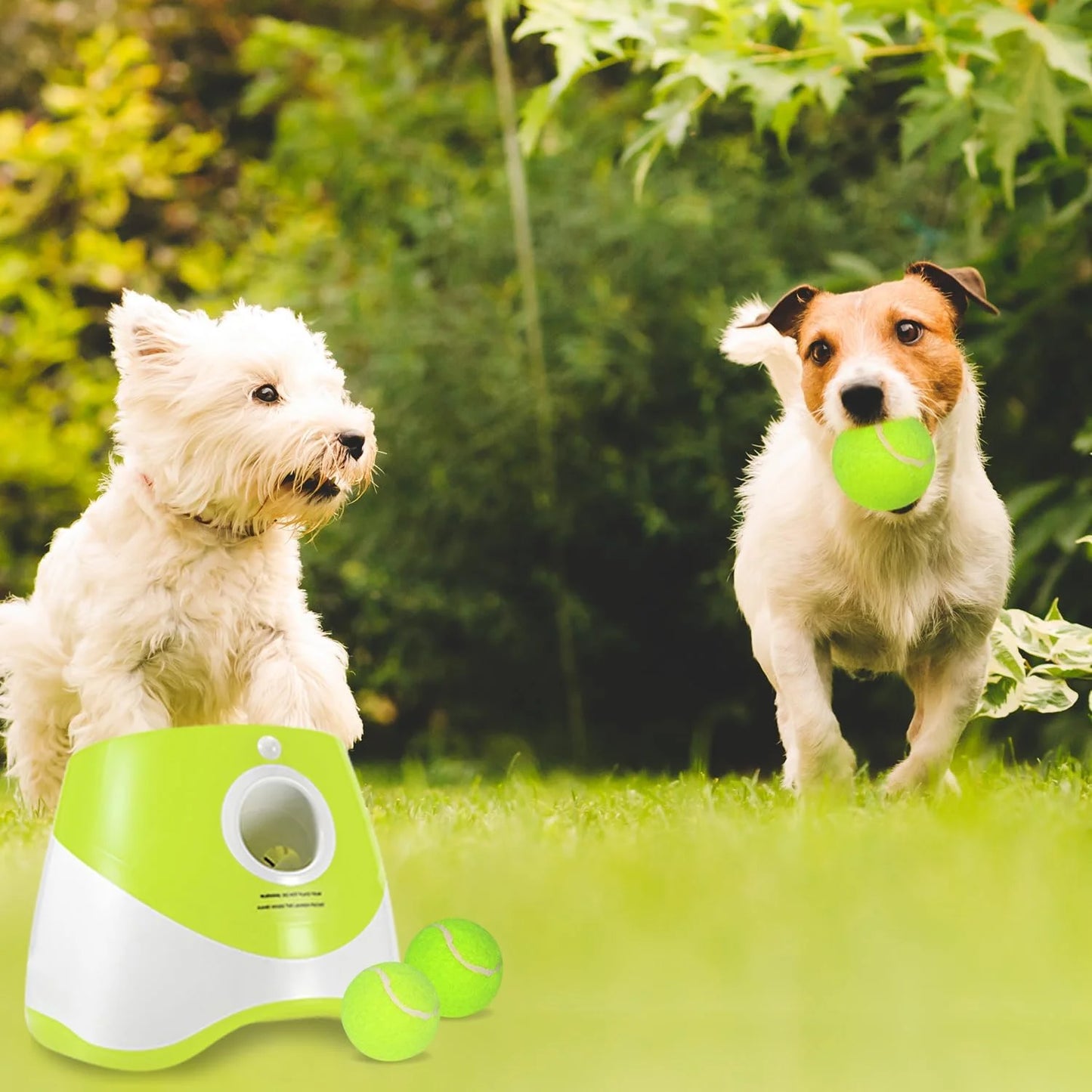 Ball Thrower for Dogs,Interactive Dog Fetch Machine,Automatic Ball Launcher for Dogs with 12 Tennis Balls,Dog Ball Thrower Machine with 10-30Ft 3 Launching Distance,For Small Dogs Indoor & Outdoor