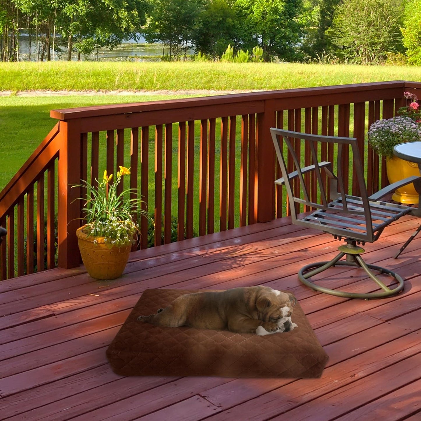 Waterproof Dog Bed - 2-Layer Memory Foam Pet Pad with Removable Machine Washable Cover - 30X21 Crate Mat for Dogs or Puppies by  (Brown)