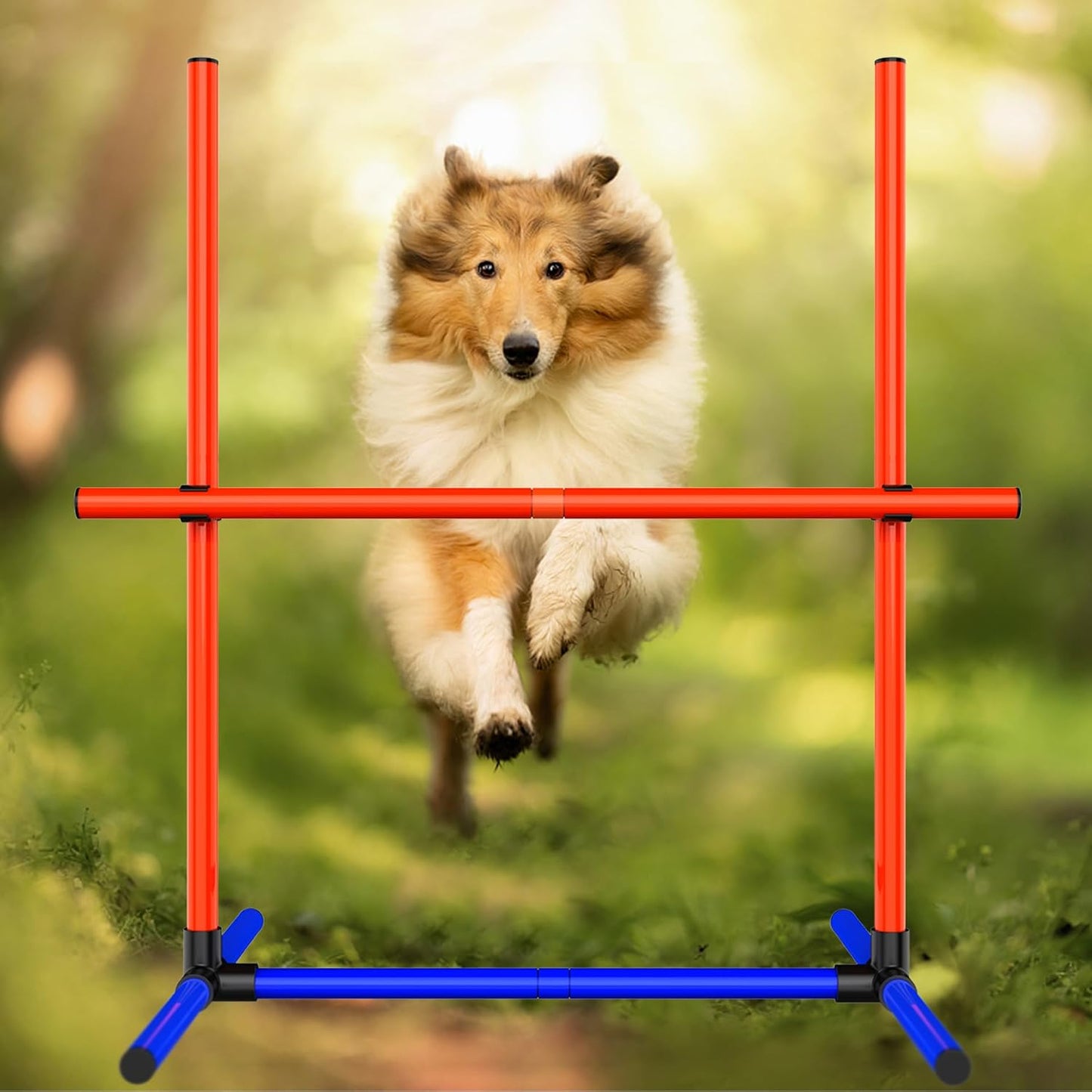 Dog Agility Set, Jump Ring, Poles, Pause Box & Storage Bag (3 Sets)