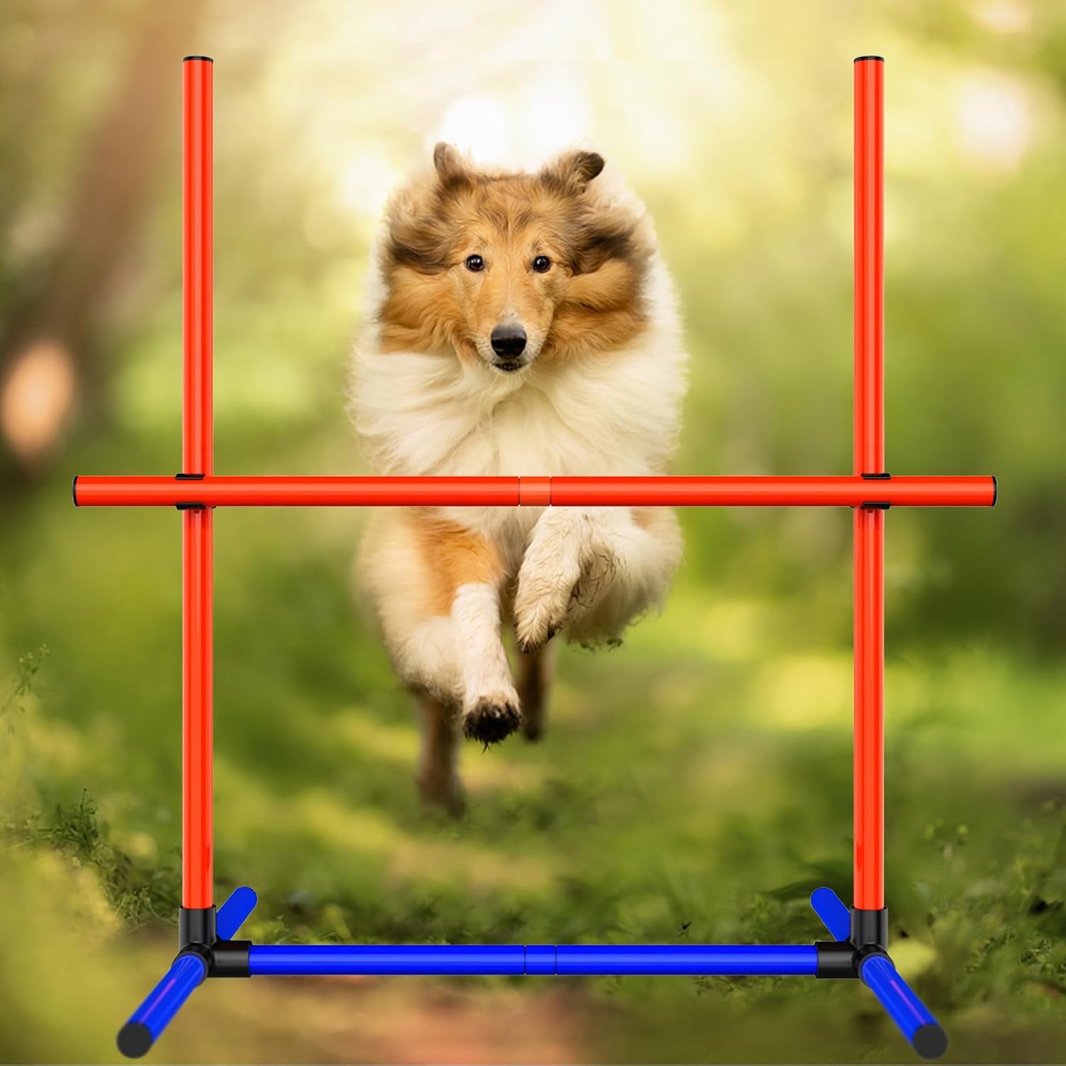 Dog Agility Set, Jump Ring, Poles, Pause Box & Storage Bag (3 Sets)