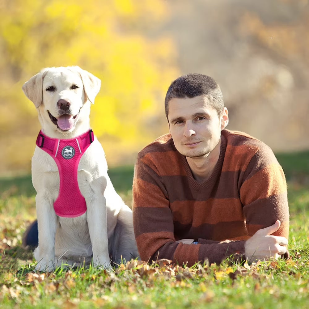 Dog Harness Adjustable Soft Breathable Mesh Pet Harness No Pull Choke-Free Double Padded Vest for Small Medium and Large Dogs,Fuchsia XL