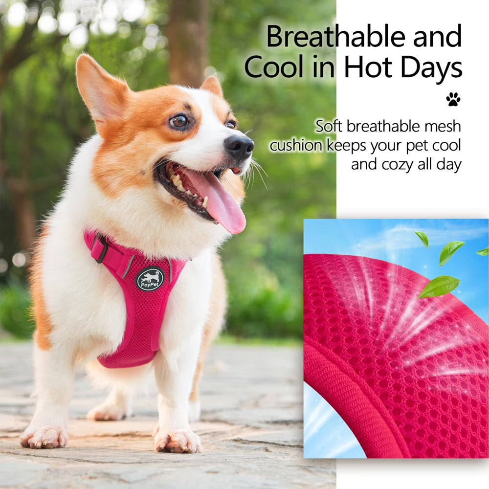 Dog Harness Adjustable Soft Breathable Mesh Pet Harness No Pull Choke-Free Double Padded Vest for Small Medium and Large Dogs,Fuchsia XL