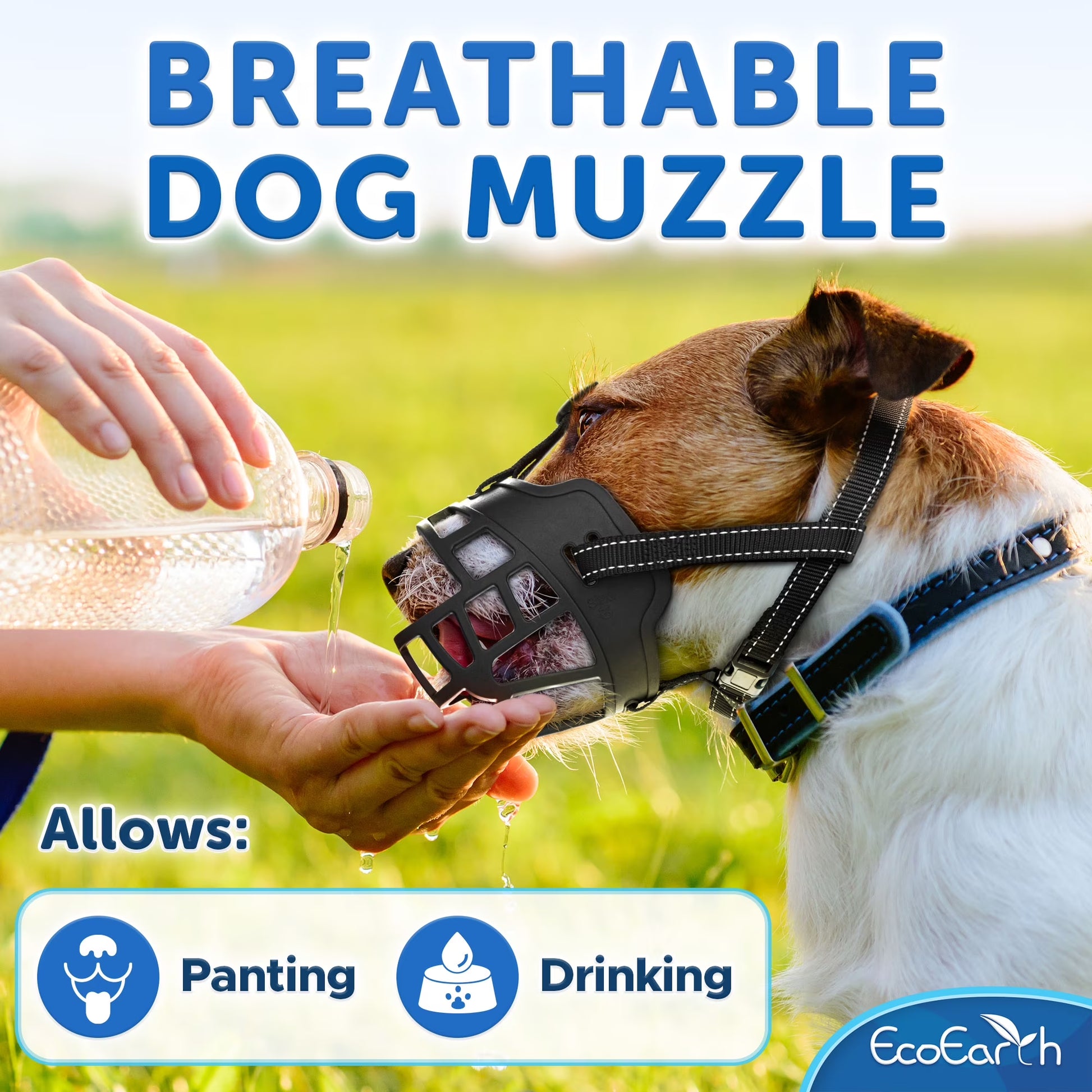 Dog Muzzle Breathable Basket Mouth Guard for Grooming & Training, Black, Size M, 1 Pack