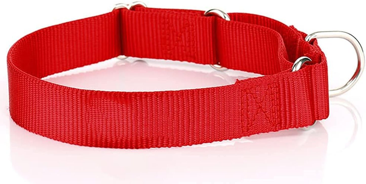 Martingale Dog Collar, Heavyduty Nylon Dog Collar, Red, Large