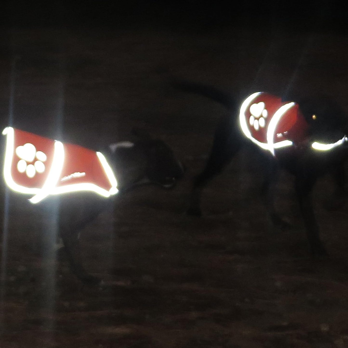 Dog Reflective Vest – Hi-Vis Fluorescent Visibility That Helps to Safeguard Your Pet On/Off Leash in Urban & Rural Areas (Pink, Small)