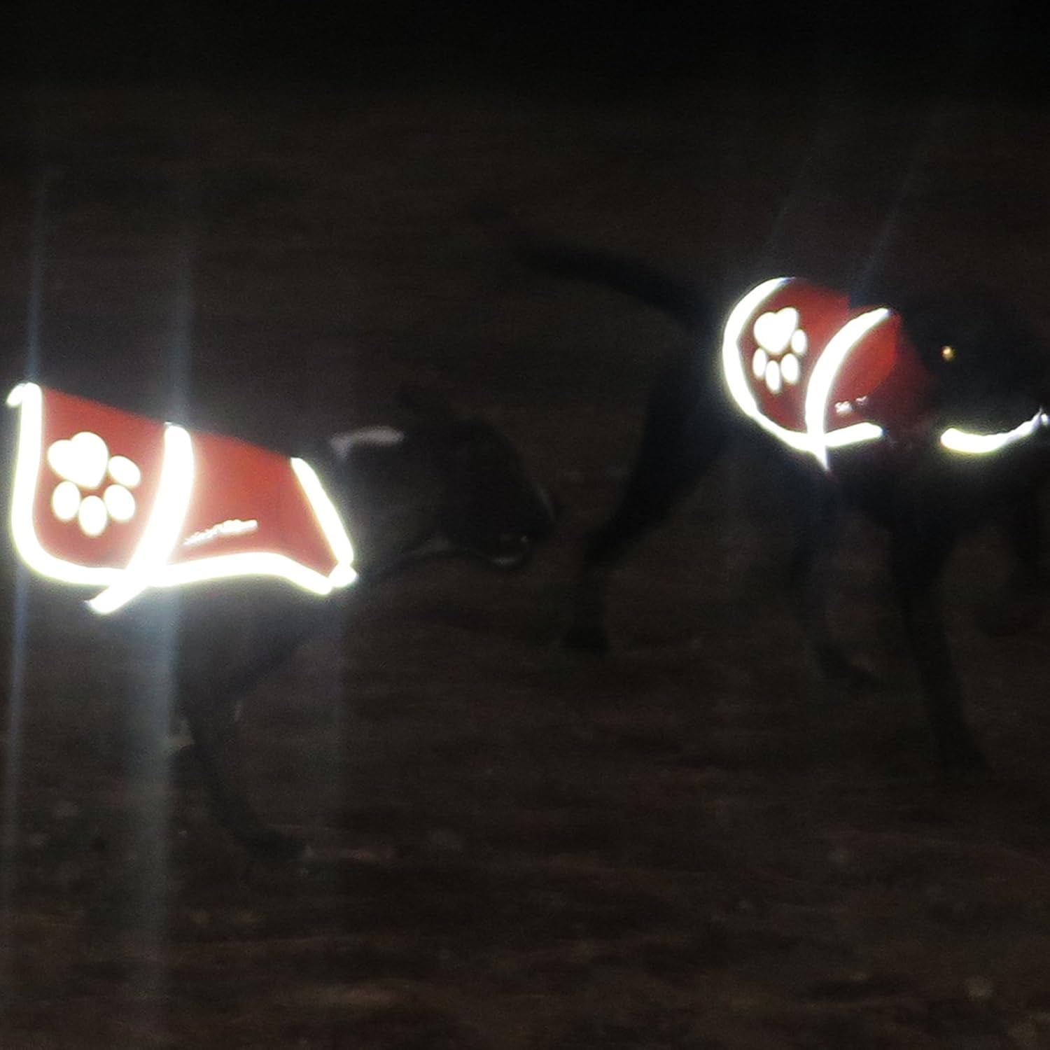 Dog Reflective Vest – Hi-Vis Fluorescent Visibility That Helps to Safeguard Your Pet On/Off Leash in Urban & Rural Areas (Pink, Small)
