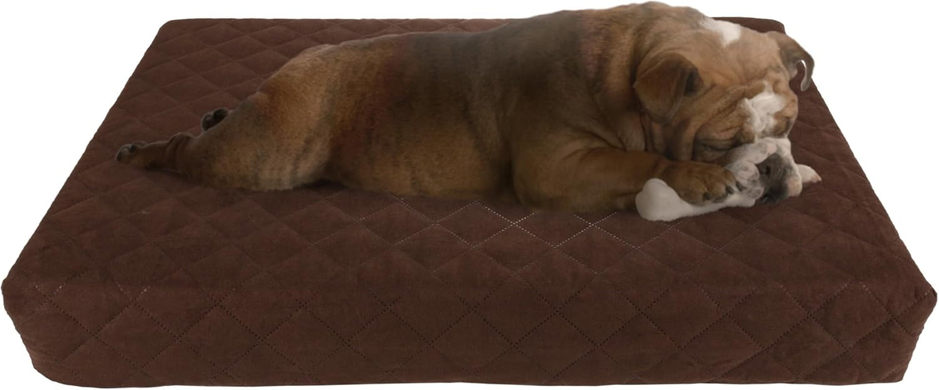 Waterproof Dog Bed - 2-Layer Memory Foam Pet Pad with Removable Machine Washable Cover - 30X21 Crate Mat for Dogs or Puppies by  (Brown)