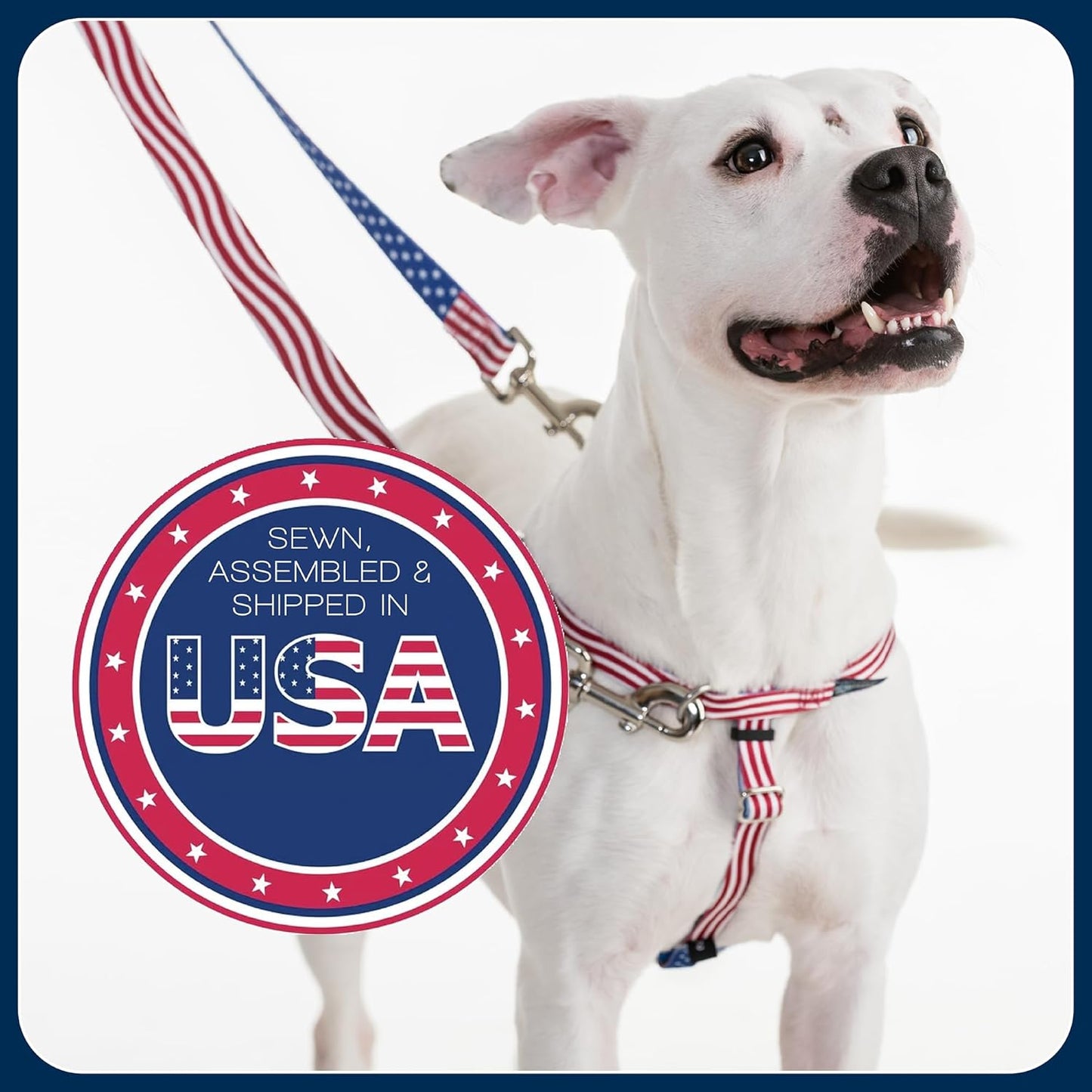 Freedom No Pull Dog Harness, Adjustable Harness and Leash Set, Easy Walking & Comfortable Control, Fits Small, Medium & Large Dogs, Solid Colors, Made in USA, 5/8" XS, Raspberry